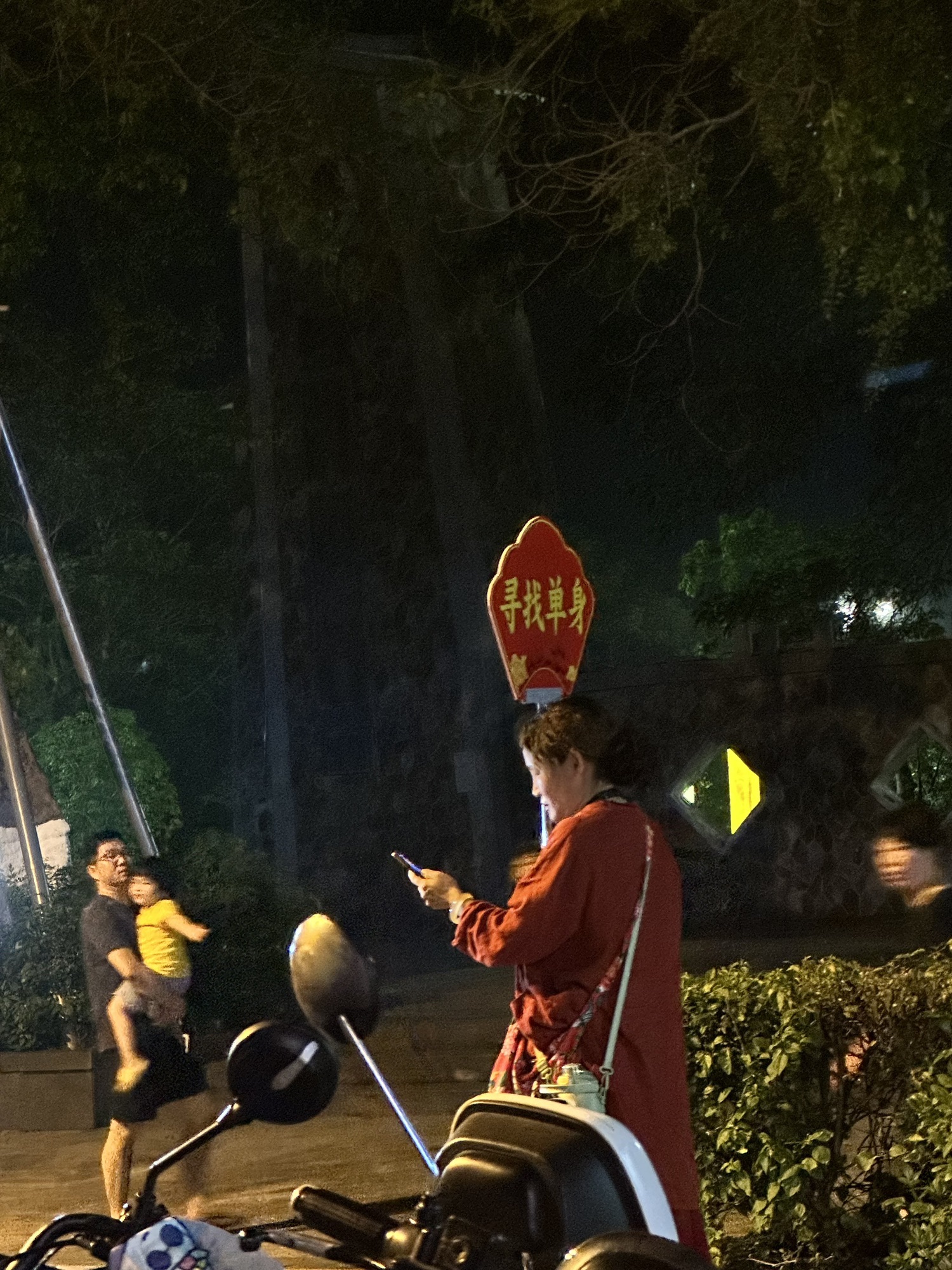 阳明公园旅行图片 3