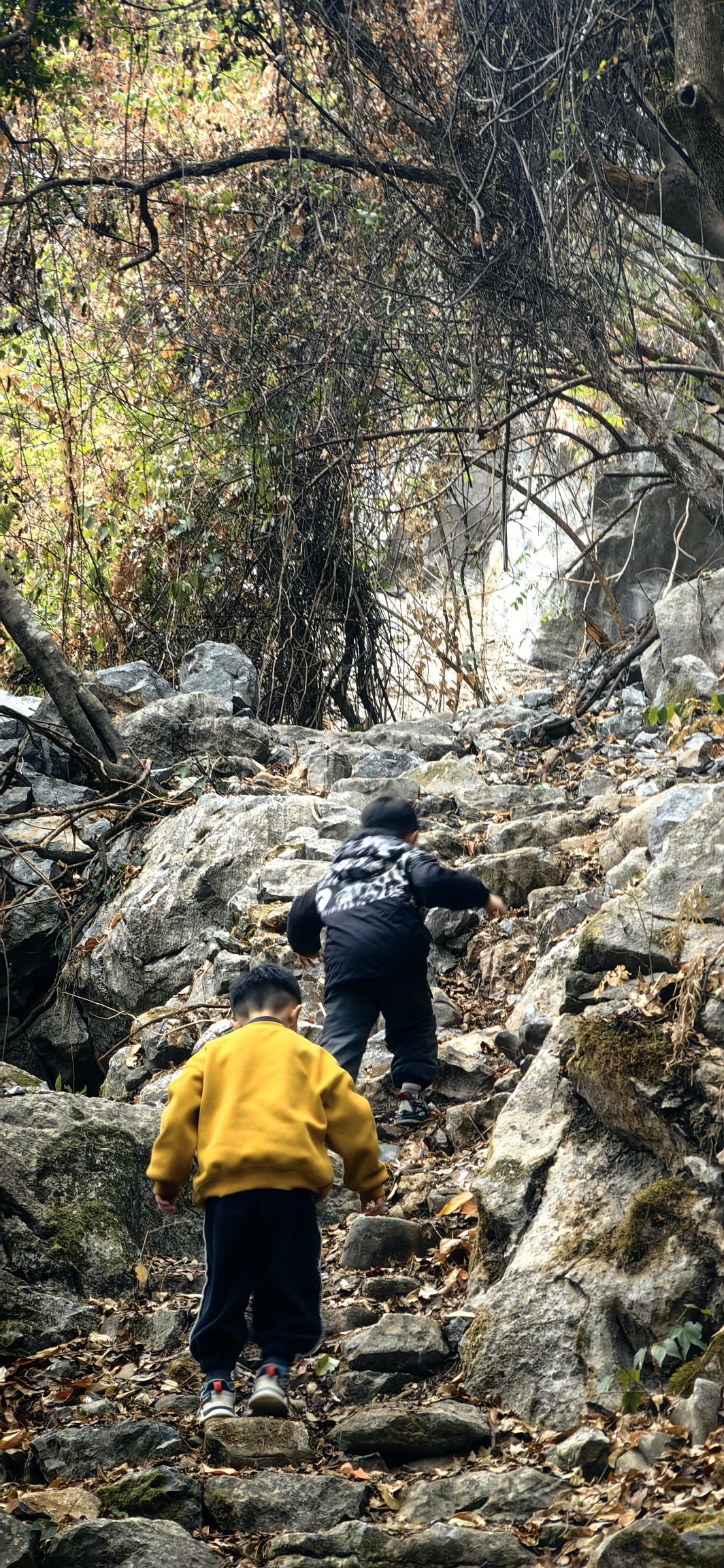 孔明岩旅行图片 1