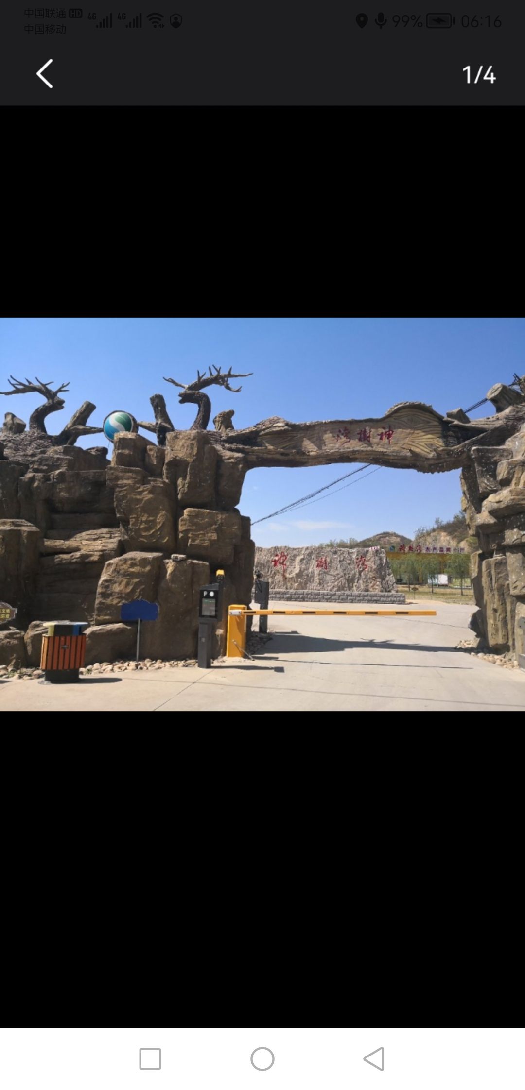 神树湾旅行图片 1
