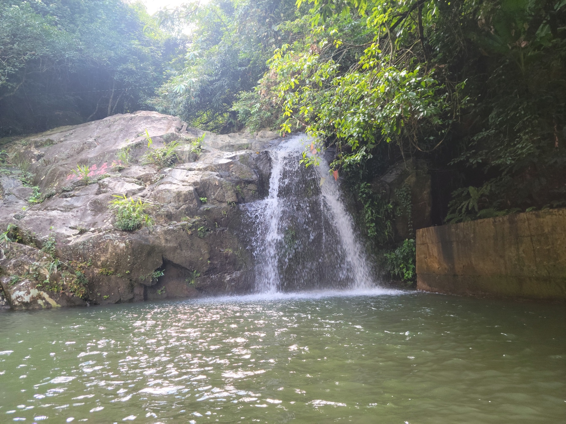 爽岛国家森林公园飞龙湖旅游区旅行图片 3