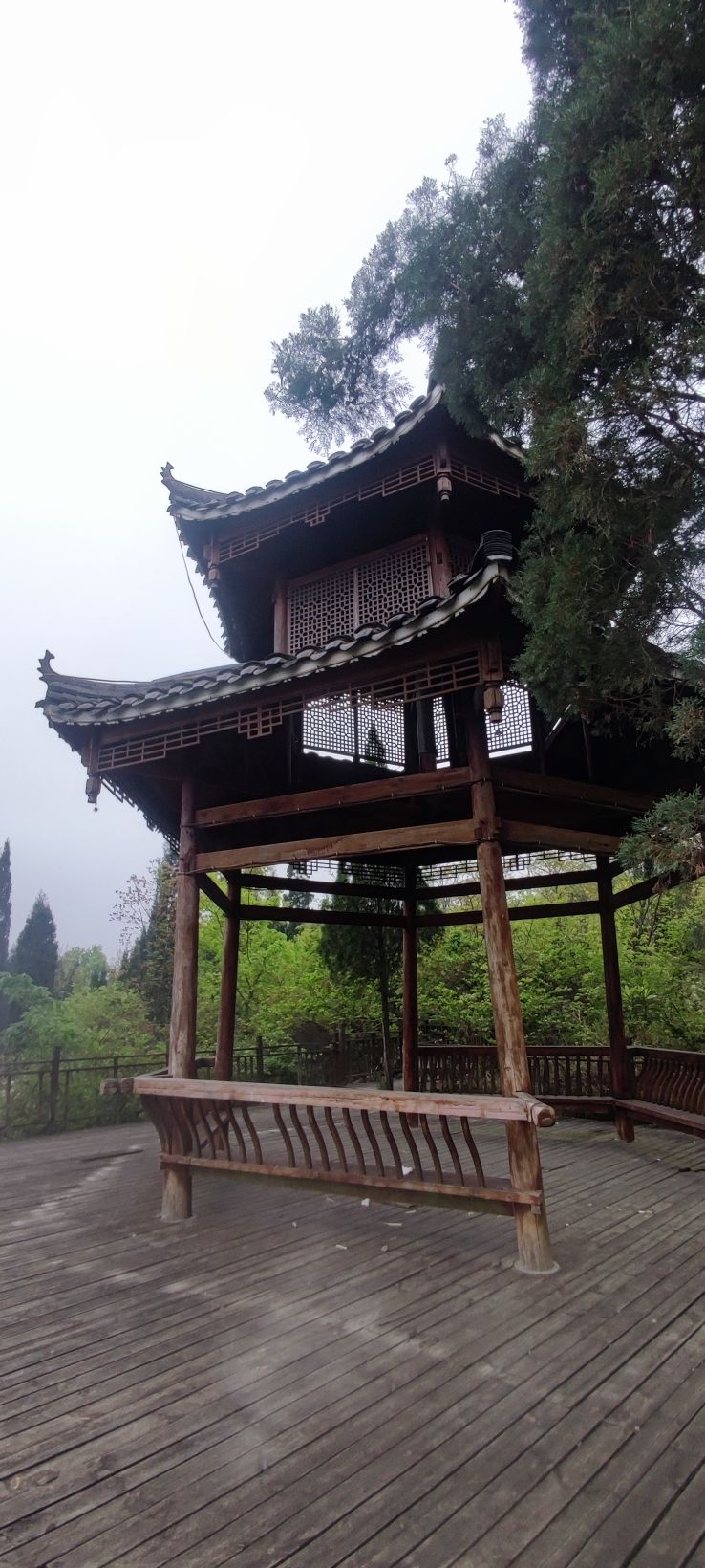 巴铃绿阴河湿池公园
