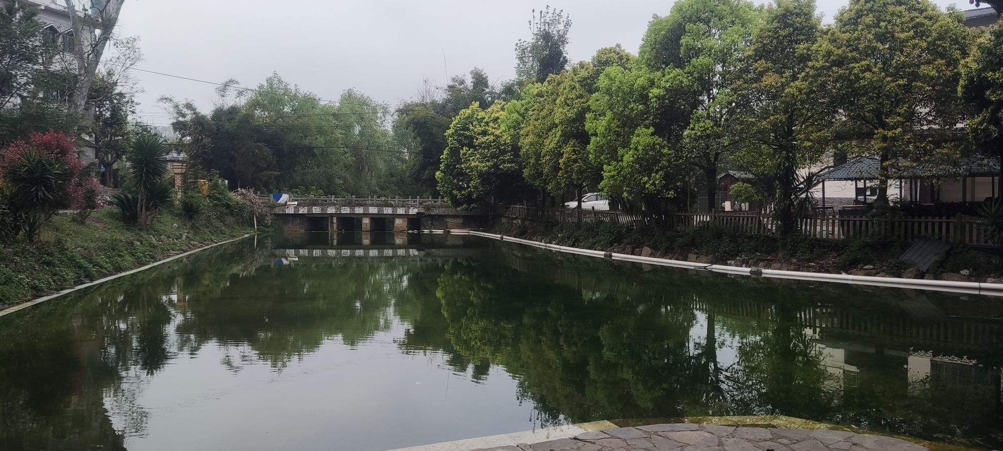 巴铃绿阴河湿池公园