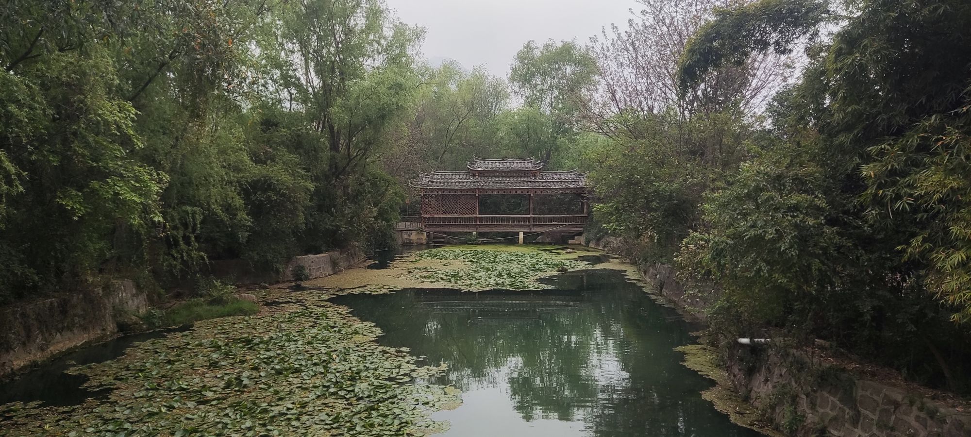 巴铃绿阴河湿池公园