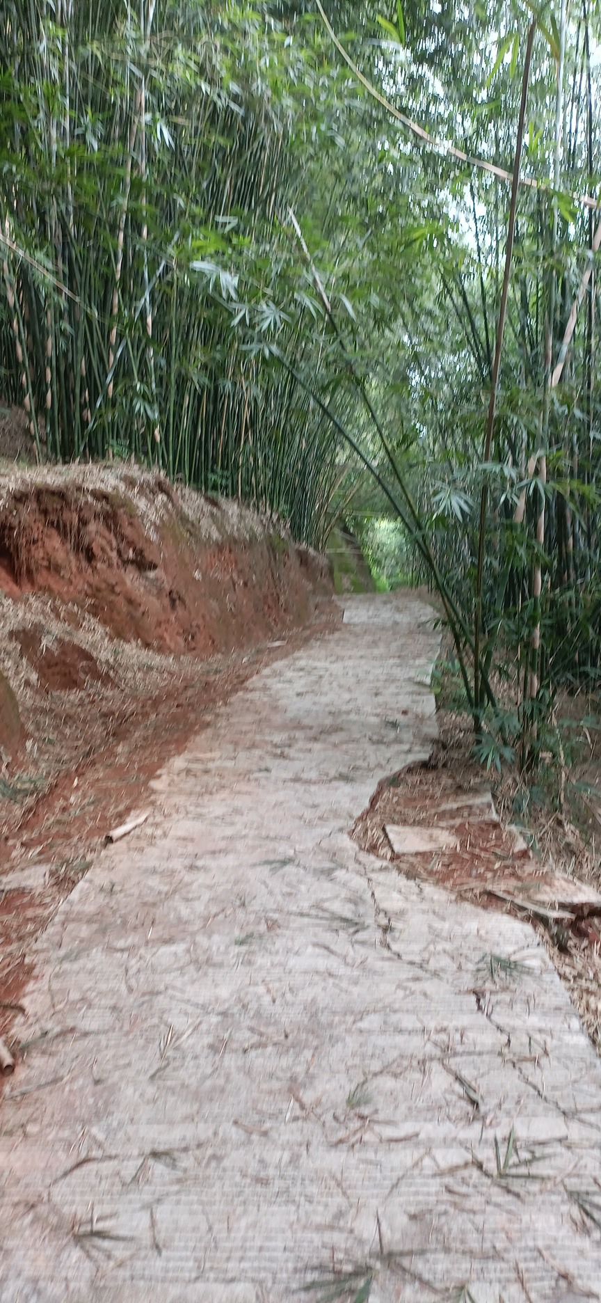 丹山碧水景区旅行图片 3