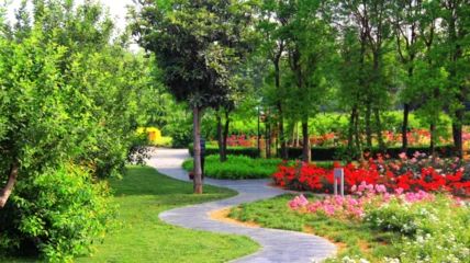 植物园旅行图片 2