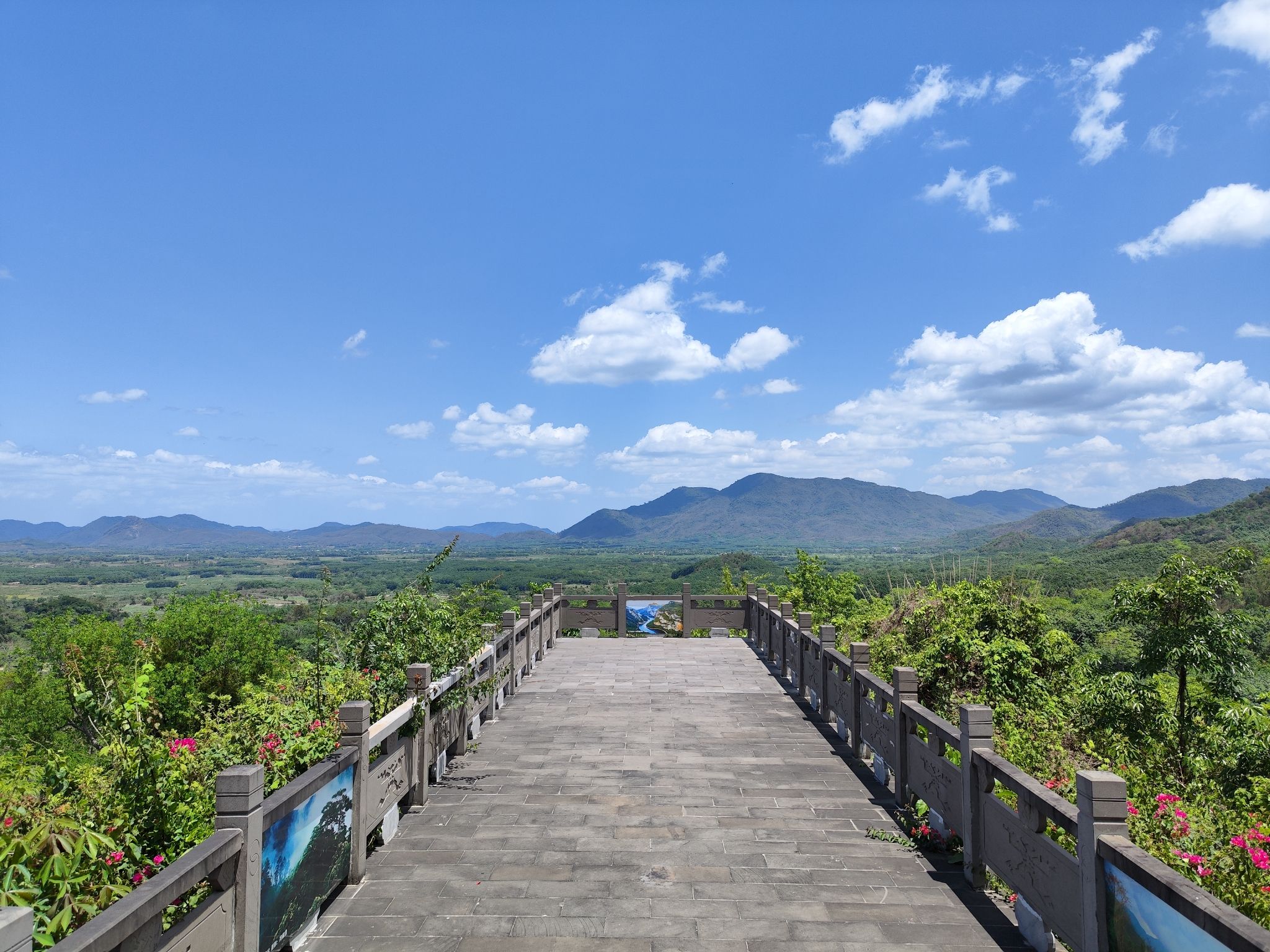 木棉观景台