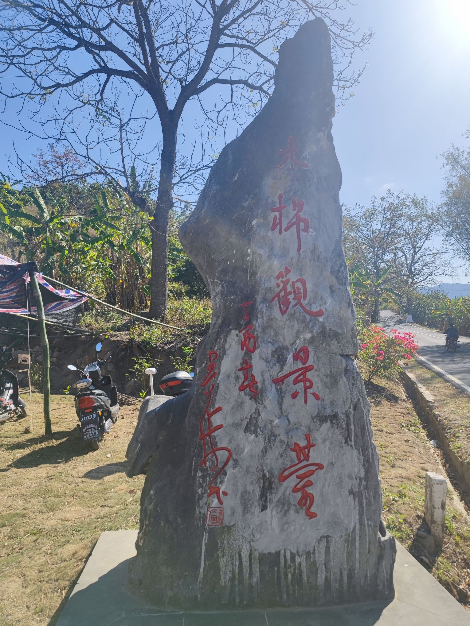 木棉观景台