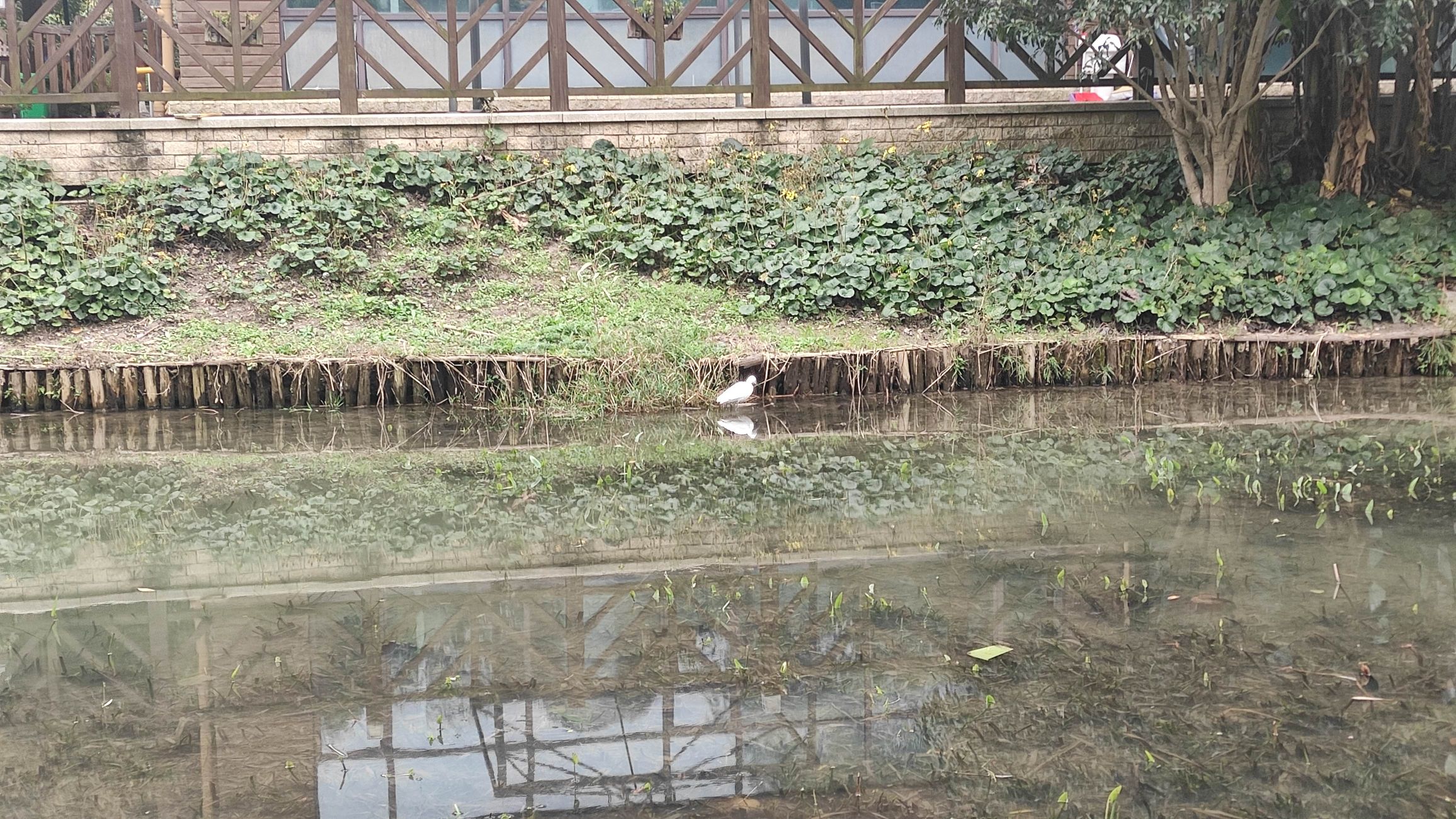 湖滨绿地旅行图片 3