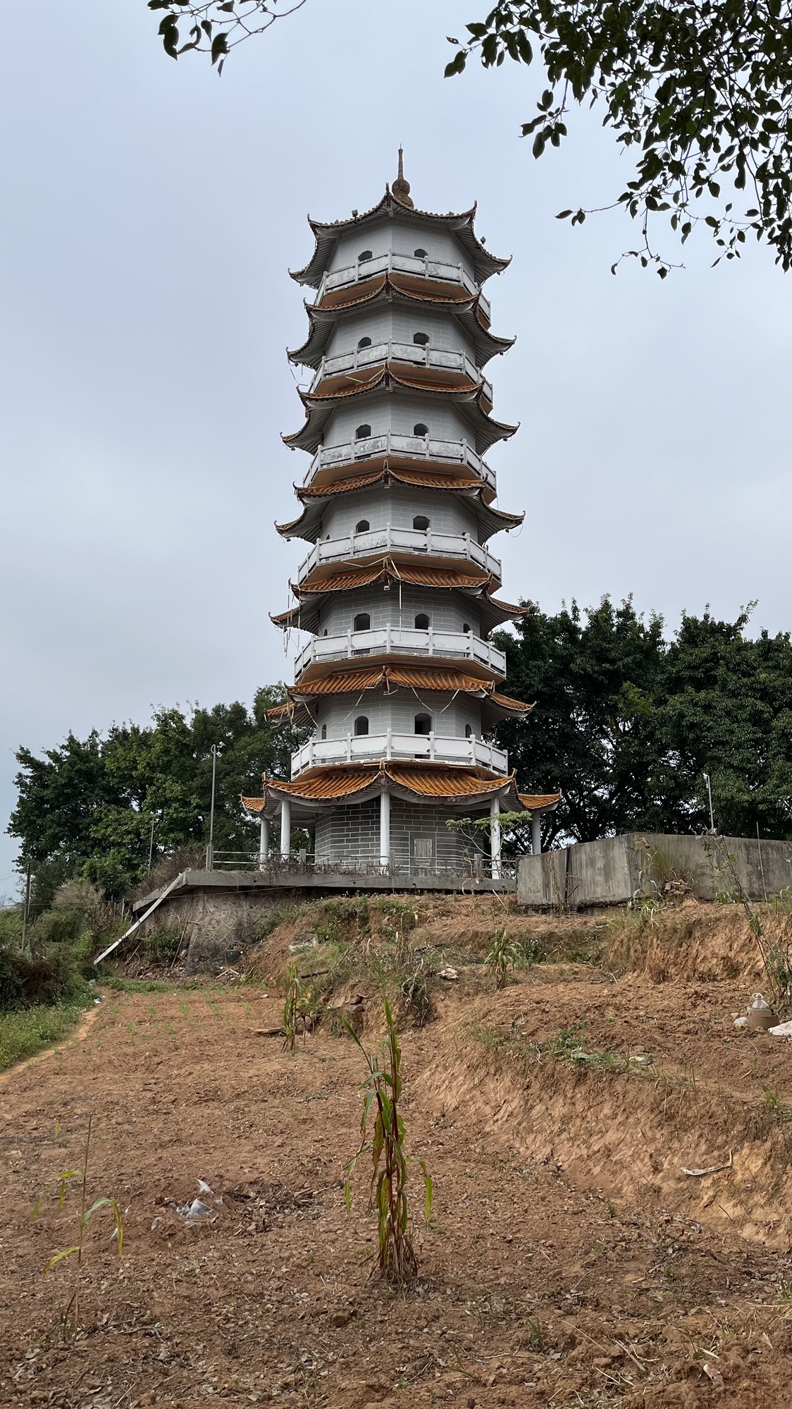 和平县对江塔旅行图片