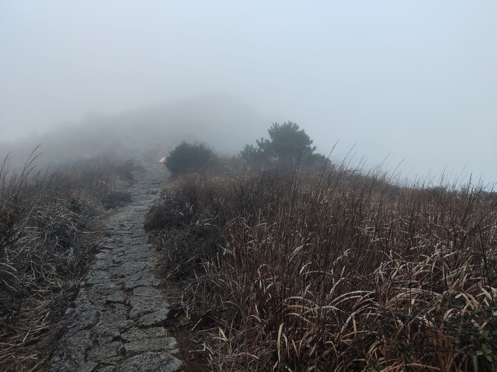 闽江源生态旅游区旅行图片 3