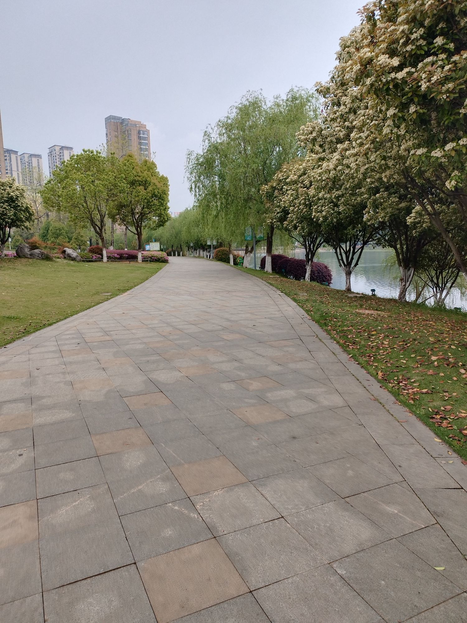 珍珠湖公园旅行图片 3