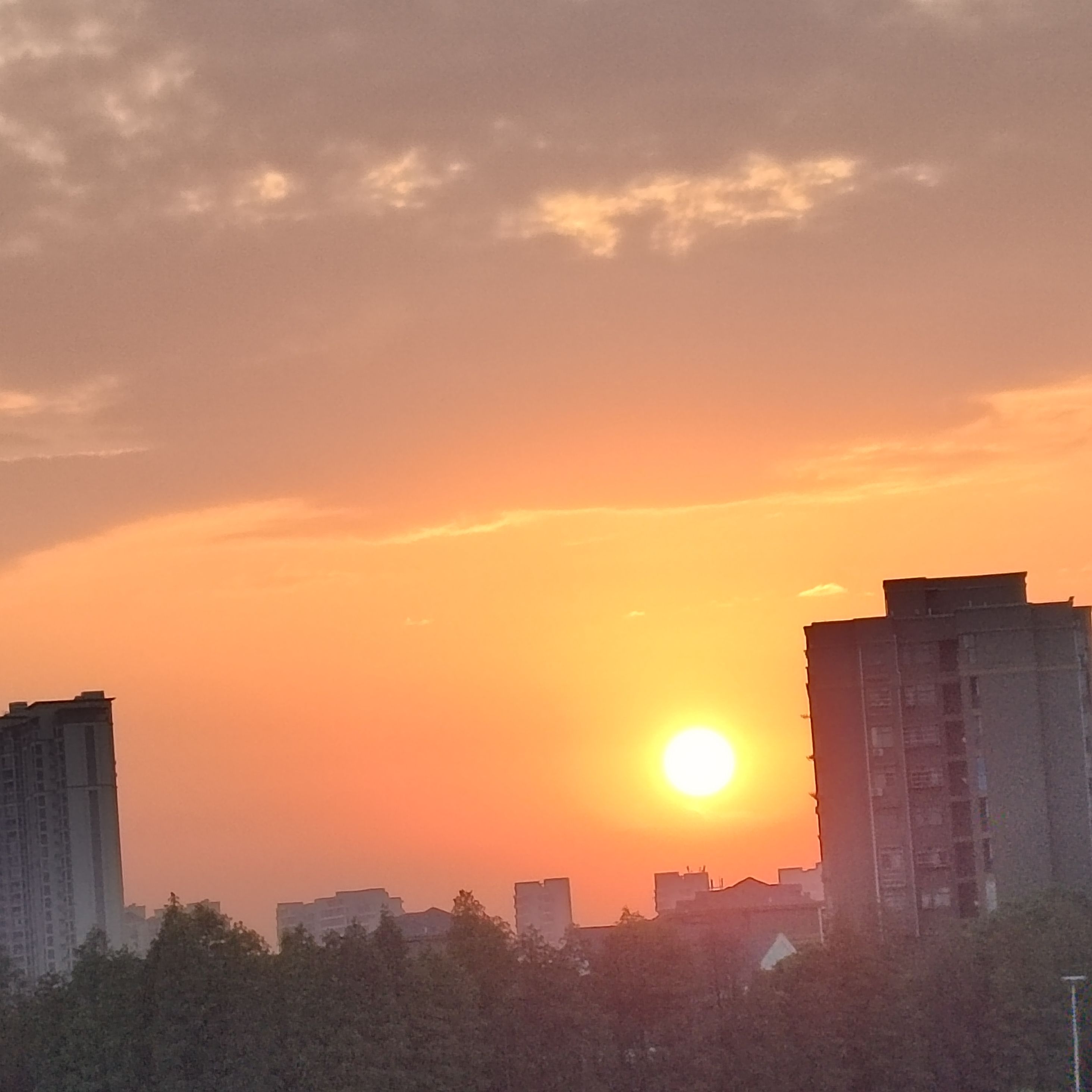 珍珠湖公园旅行图片 3
