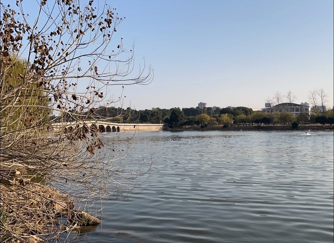 珍珠湖公园旅行图片 1