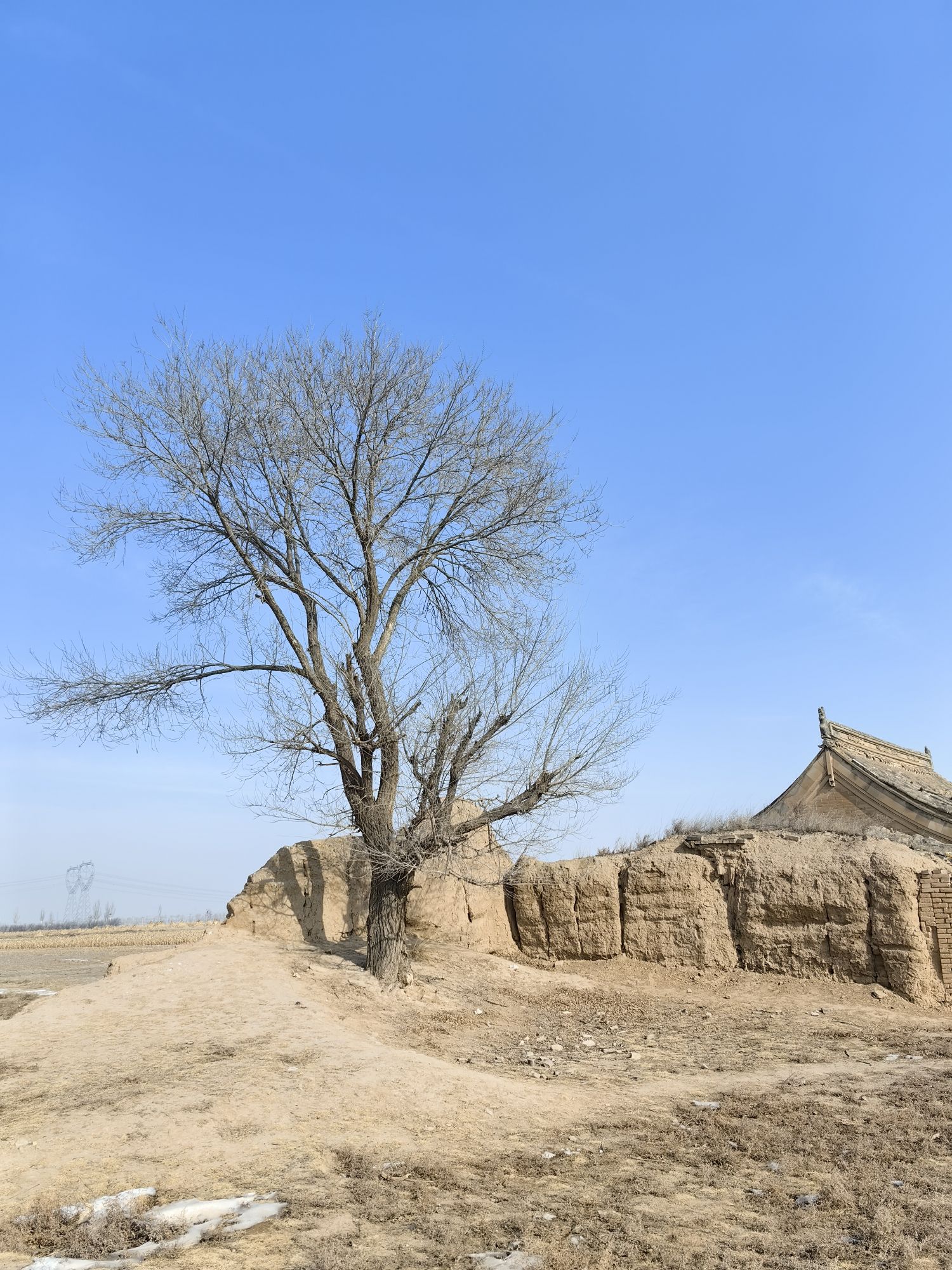西大神堡旅行图片 3