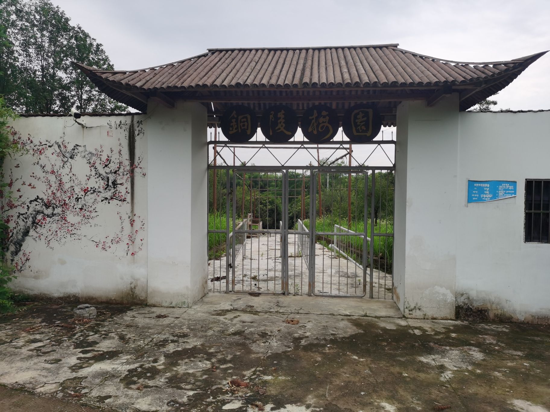 铜陵梅园旅行图片 1