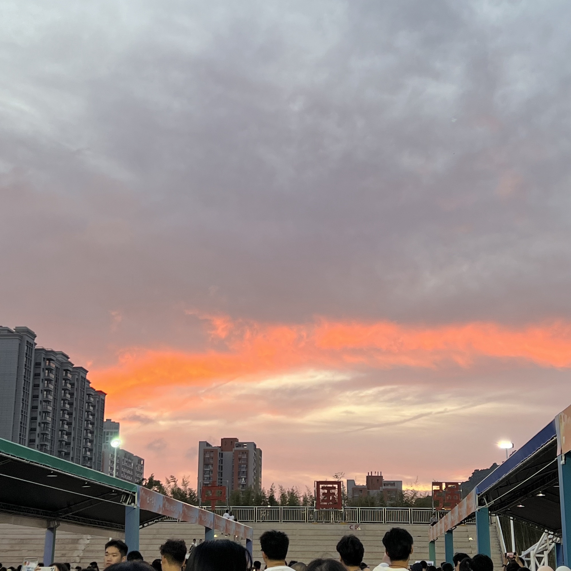 金海岸公园旅行图片 1