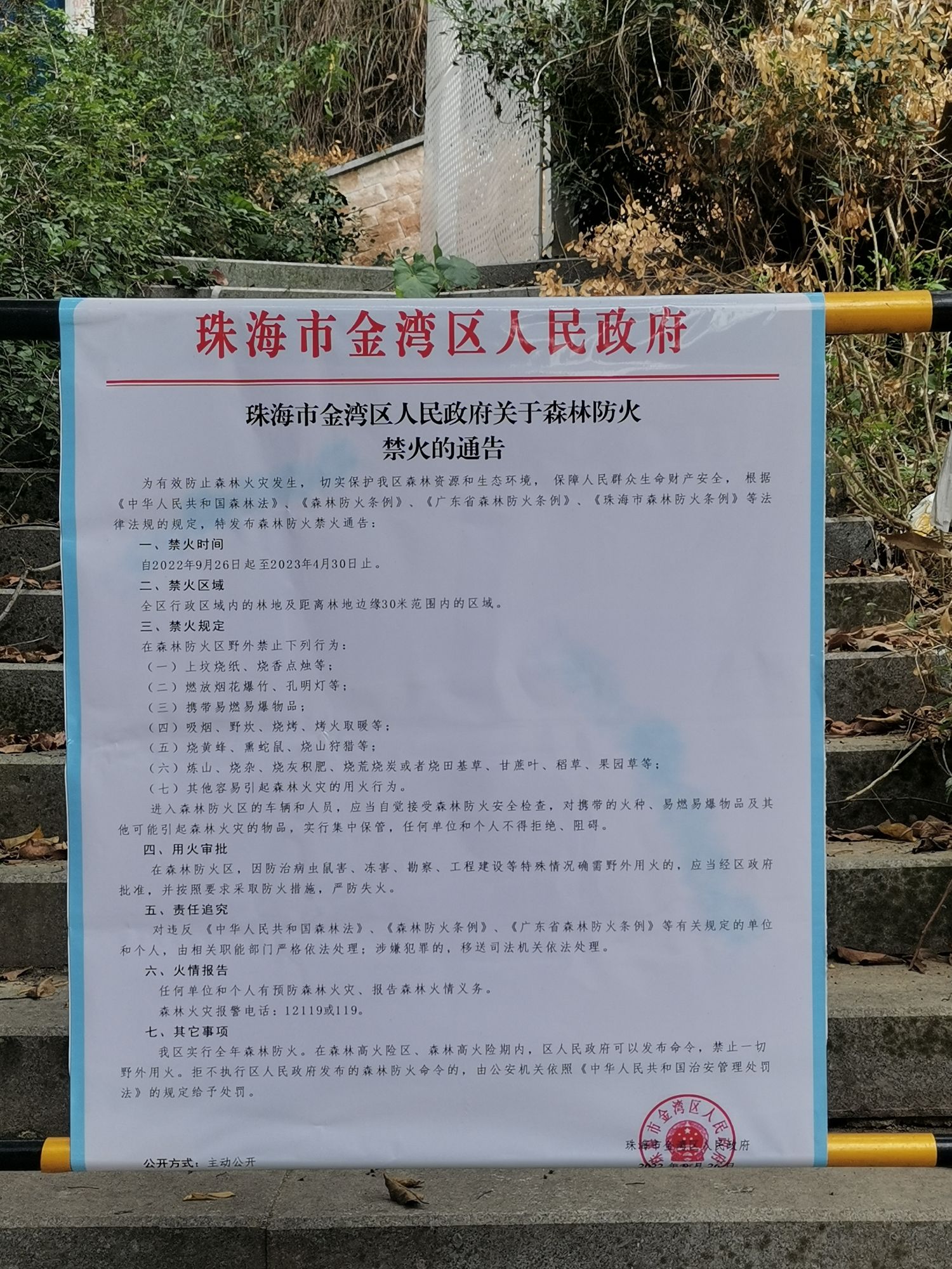 金海岸公园旅行图片 2