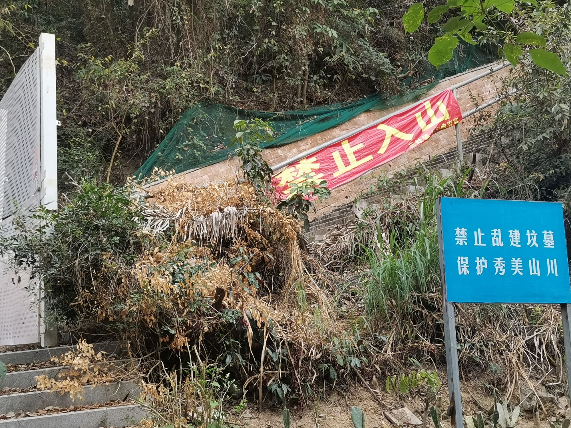 金海岸公园旅行图片 3