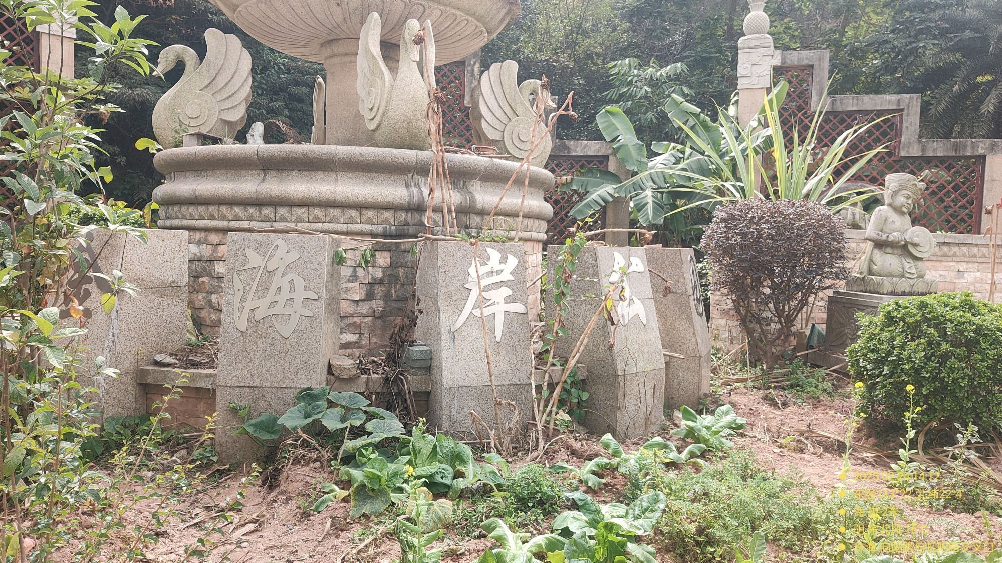 金海岸公园旅行图片 2
