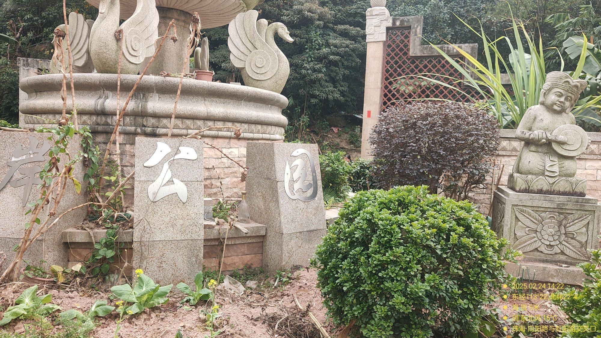 金海岸公园旅行图片 3