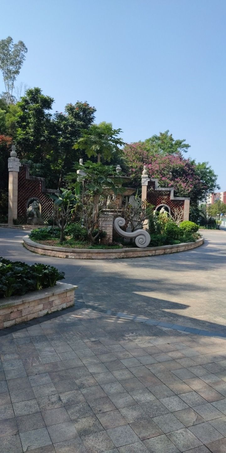 金海岸公园旅行图片 2
