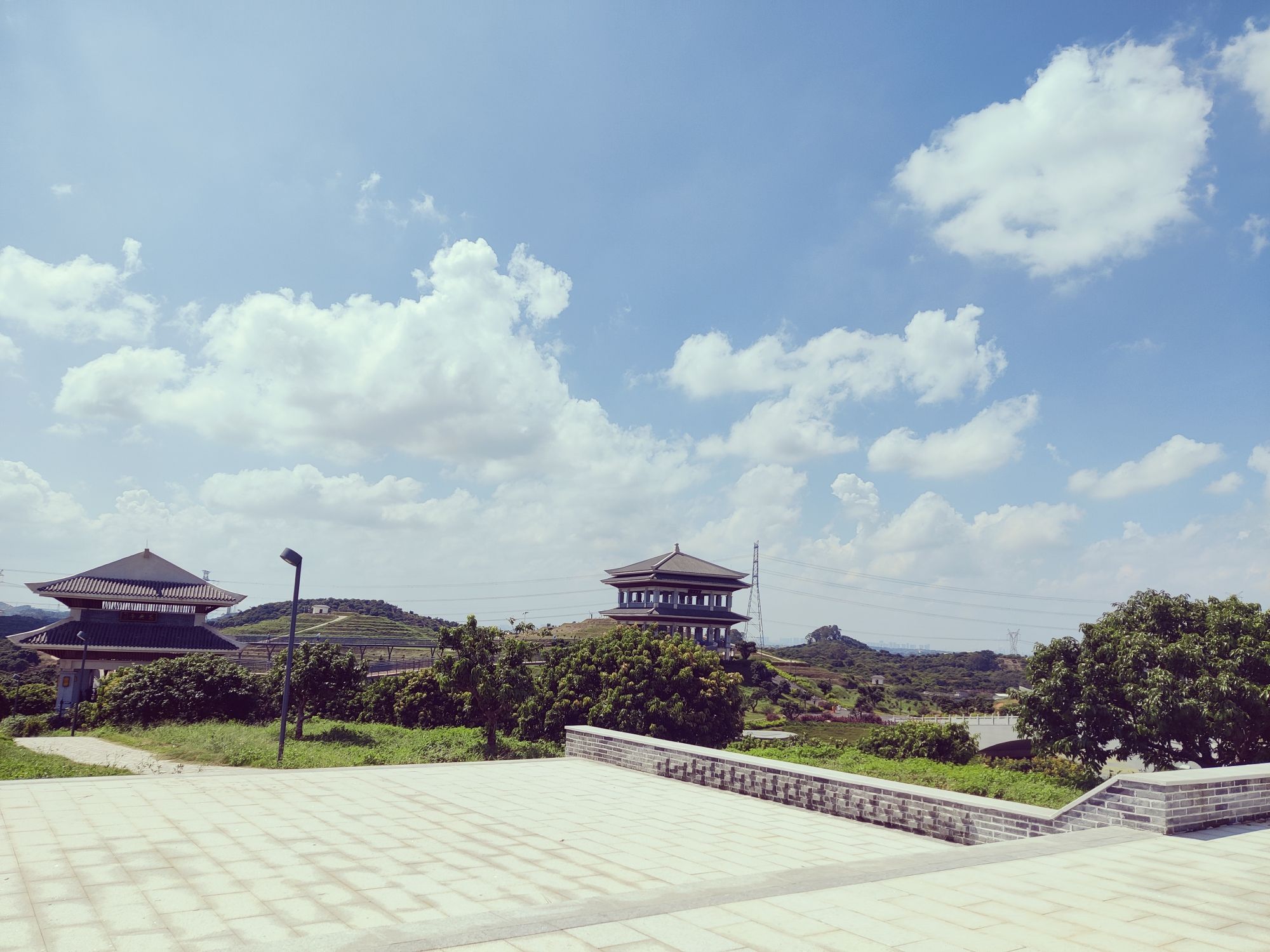 贡园旅行图片 3