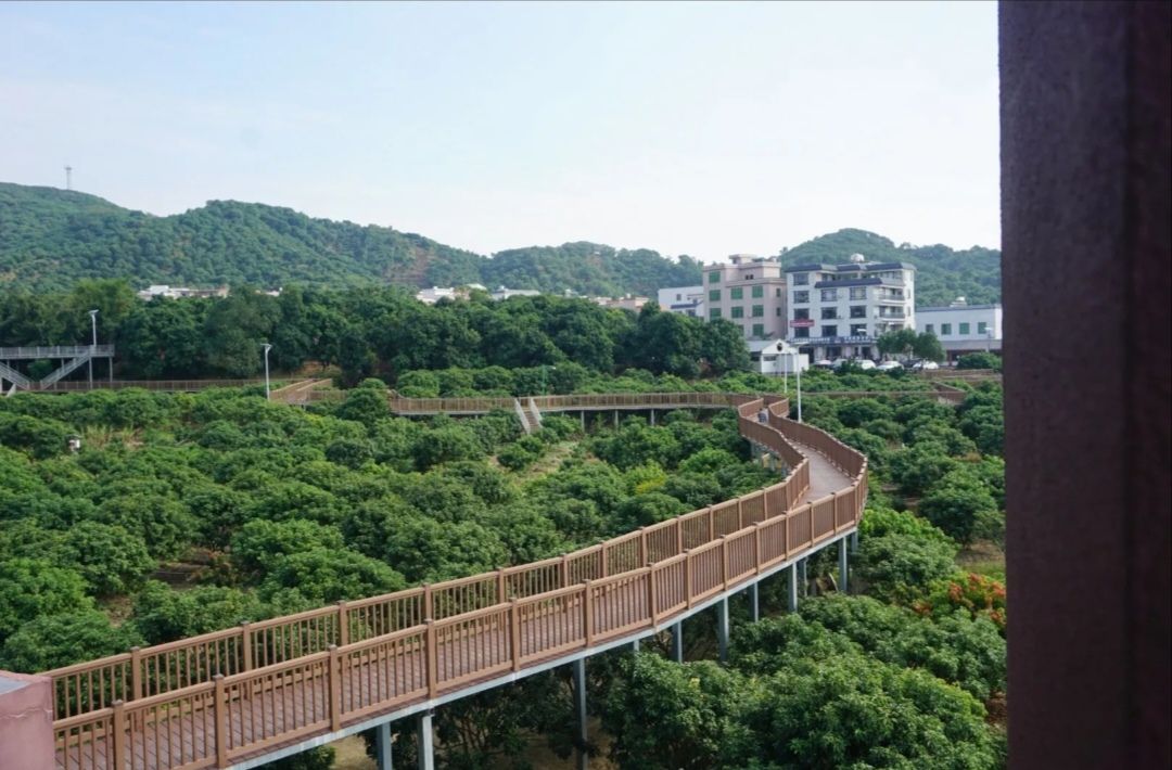 贡园旅行图片 2