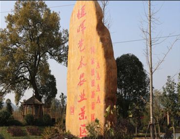 恒晖艺术农业景区旅行图片 3