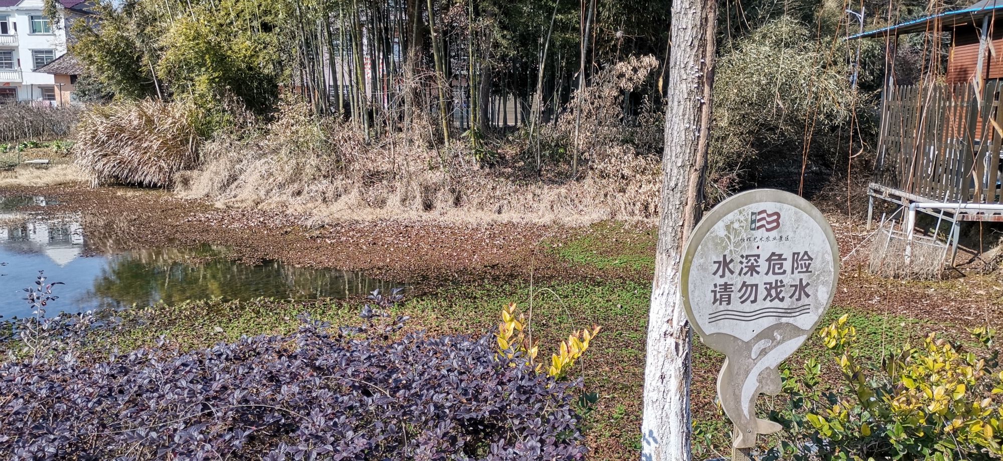 恒晖艺术农业景区旅行图片 3