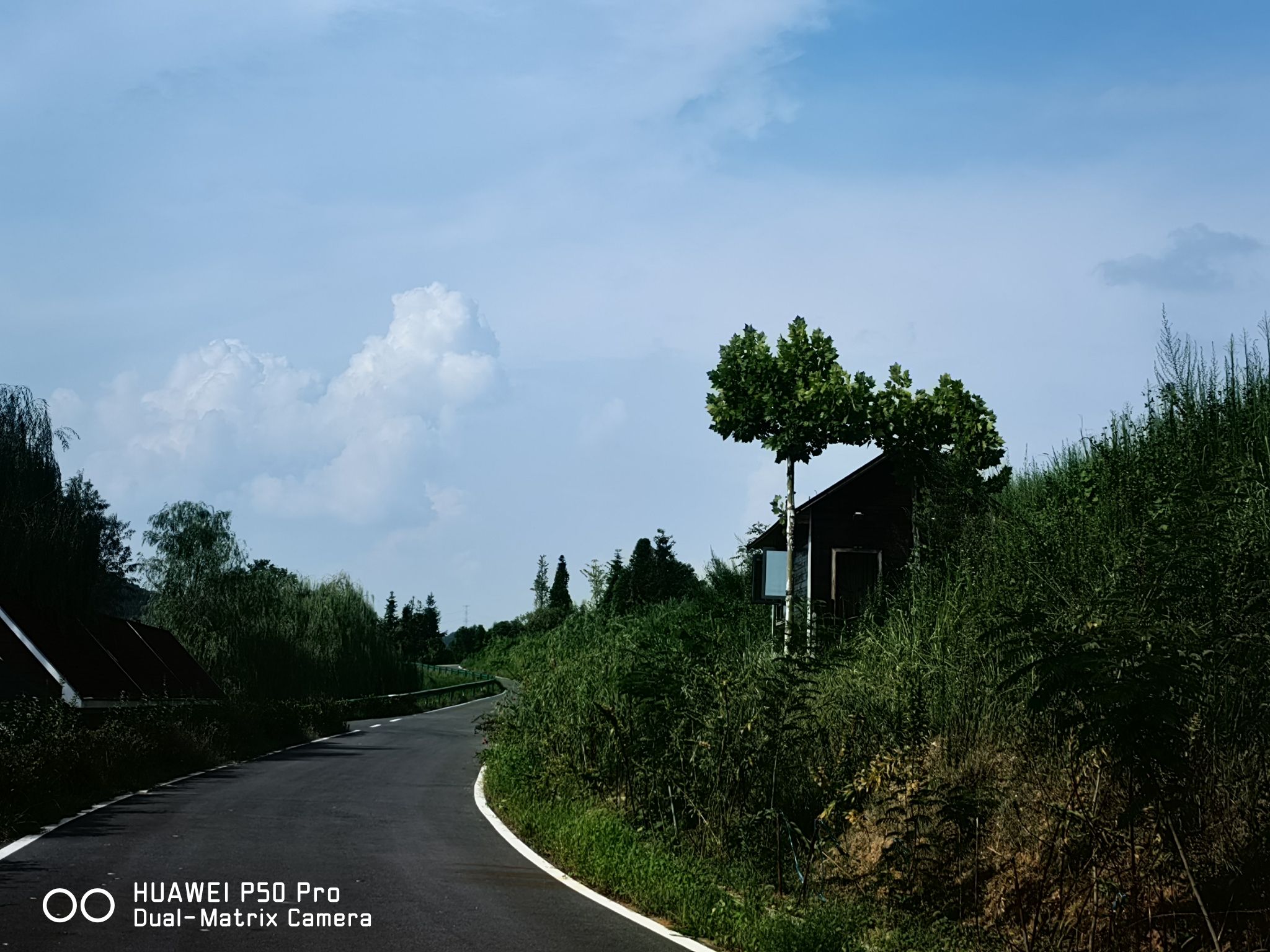 恒晖艺术农业景区旅行图片 2