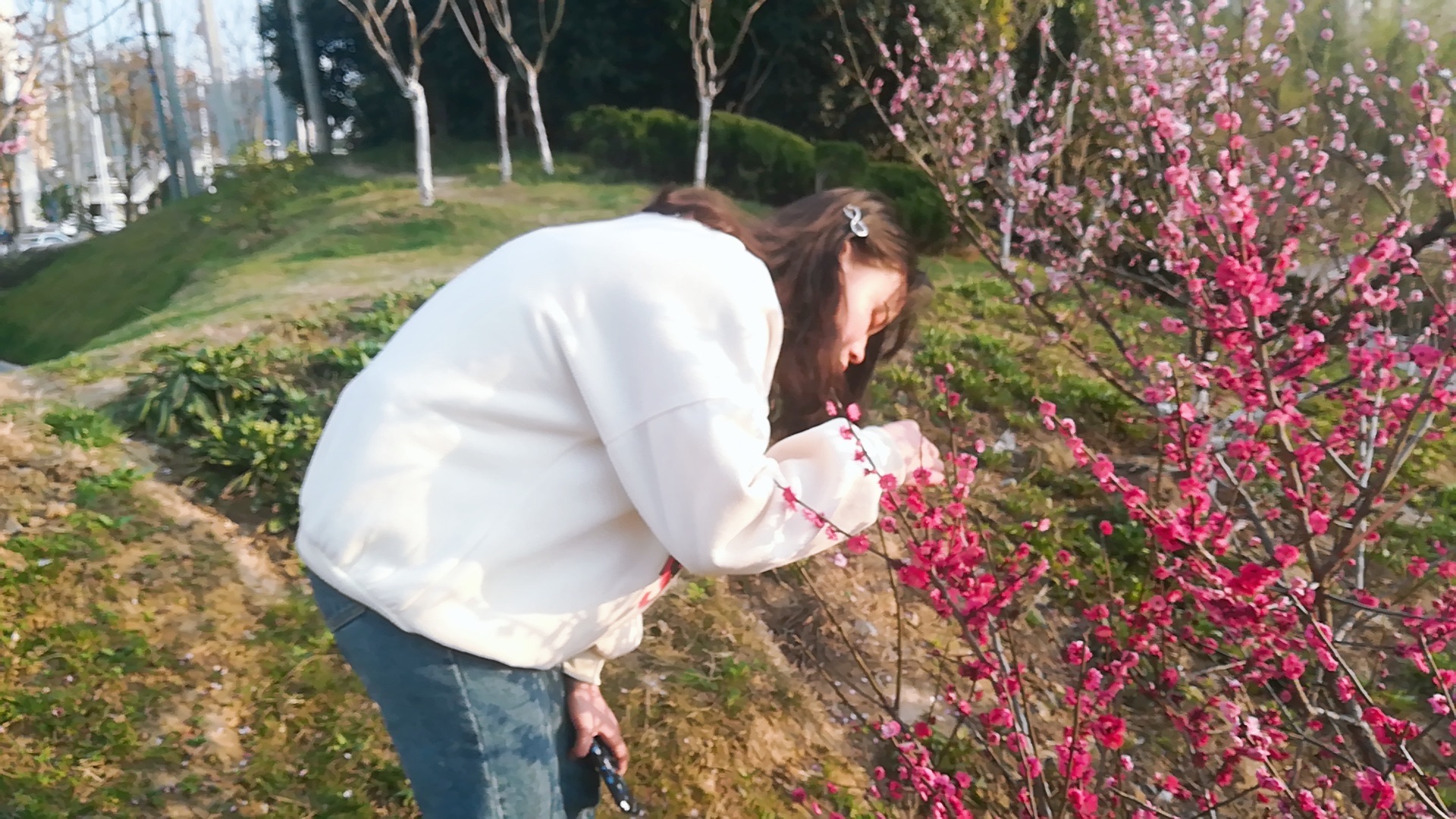 四里河滨水生态公园旅行图片 2