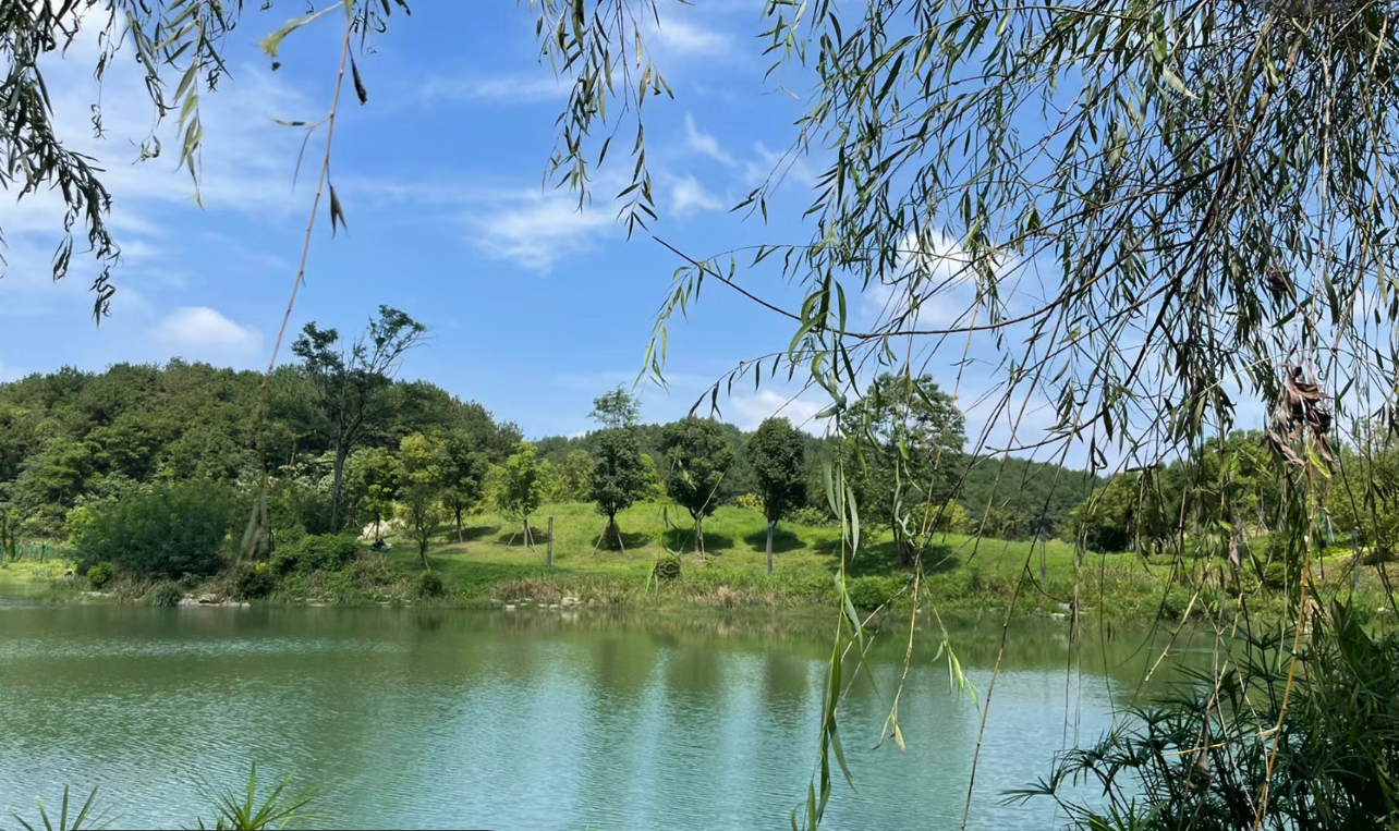四里河滨水生态公园旅行图片 3