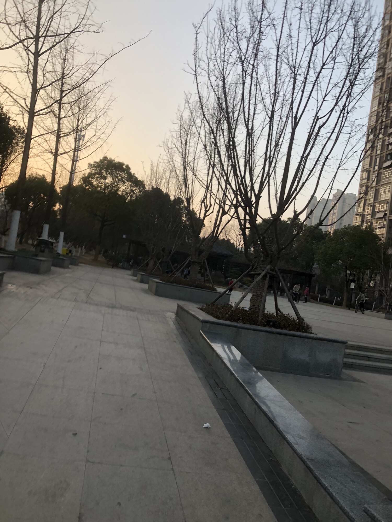 海棠公园旅行图片 3