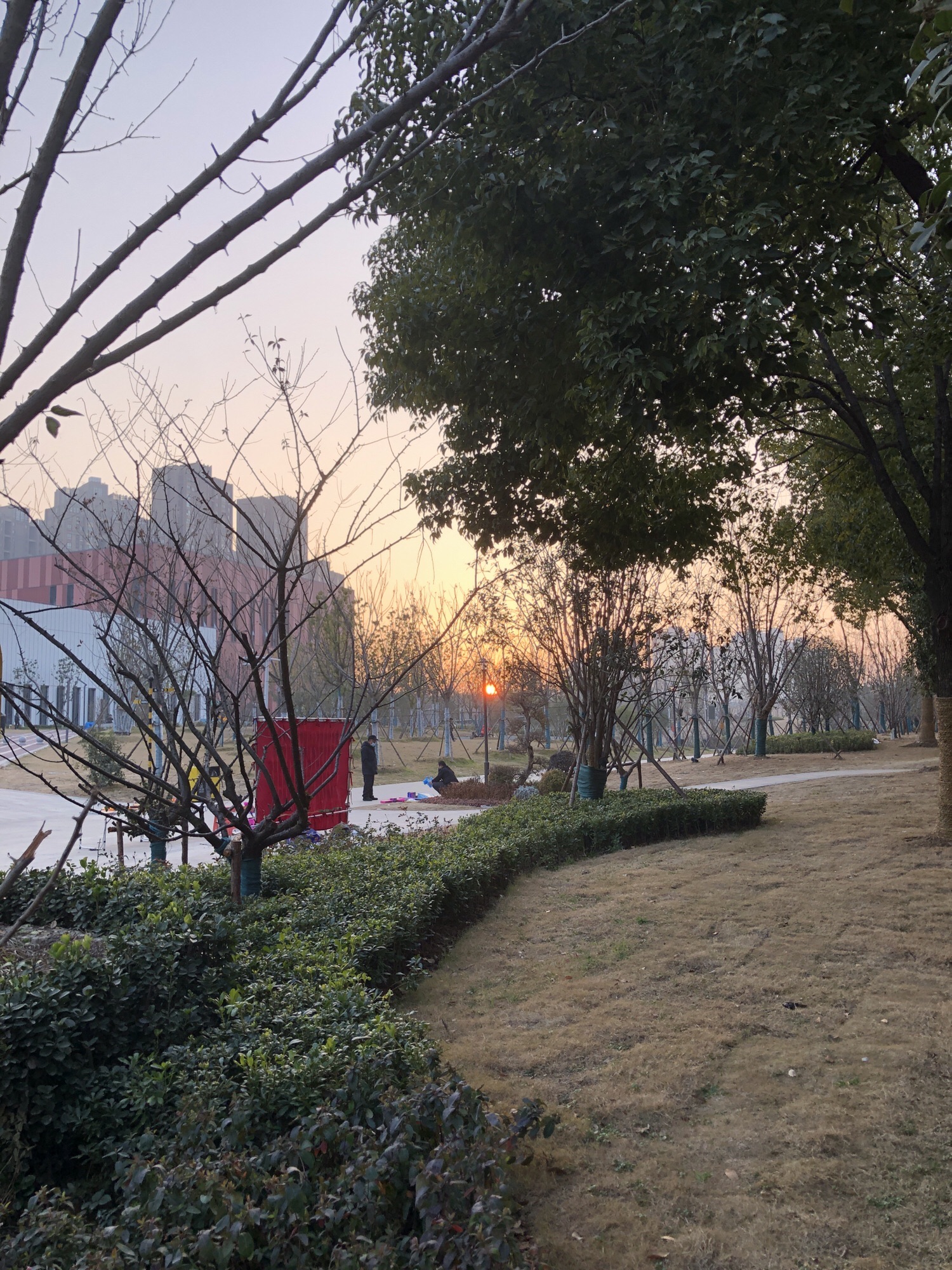 海棠公园旅行图片 2