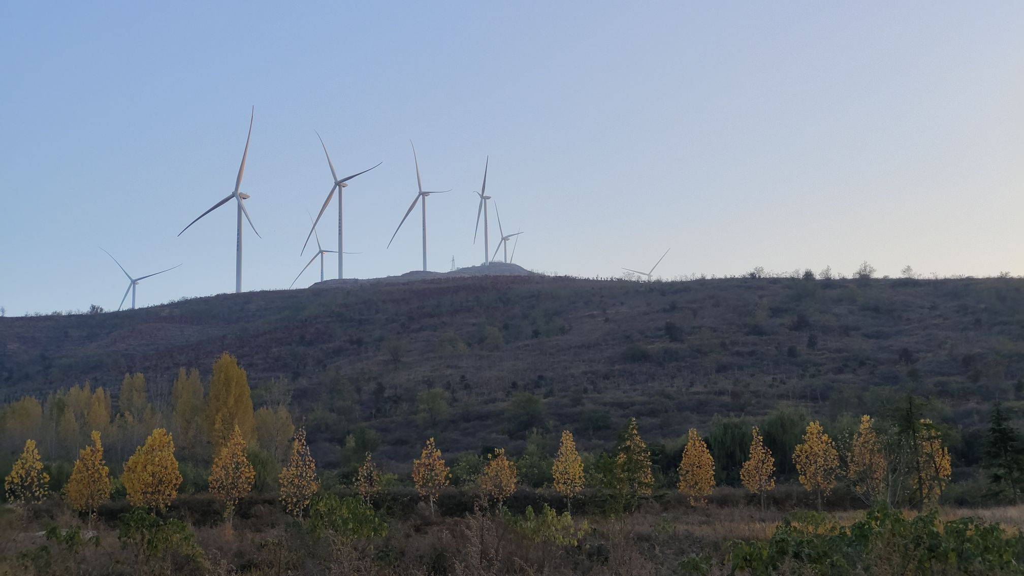 万安山野生动物欢乐世界旅行图片 1