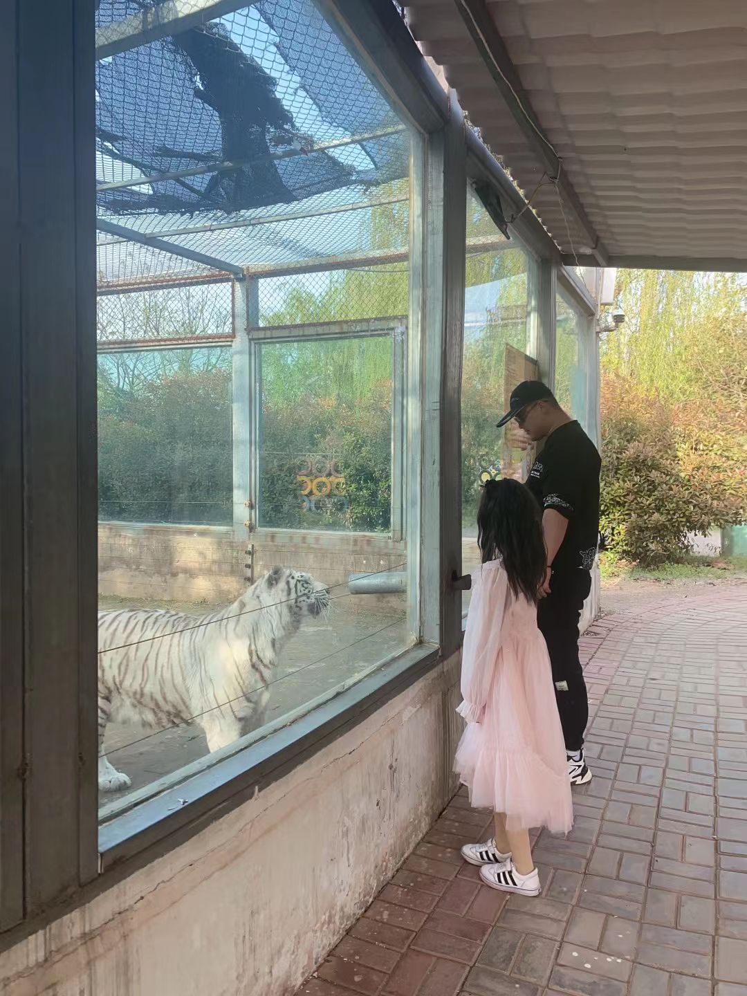 万安山野生动物欢乐世界旅行图片 3