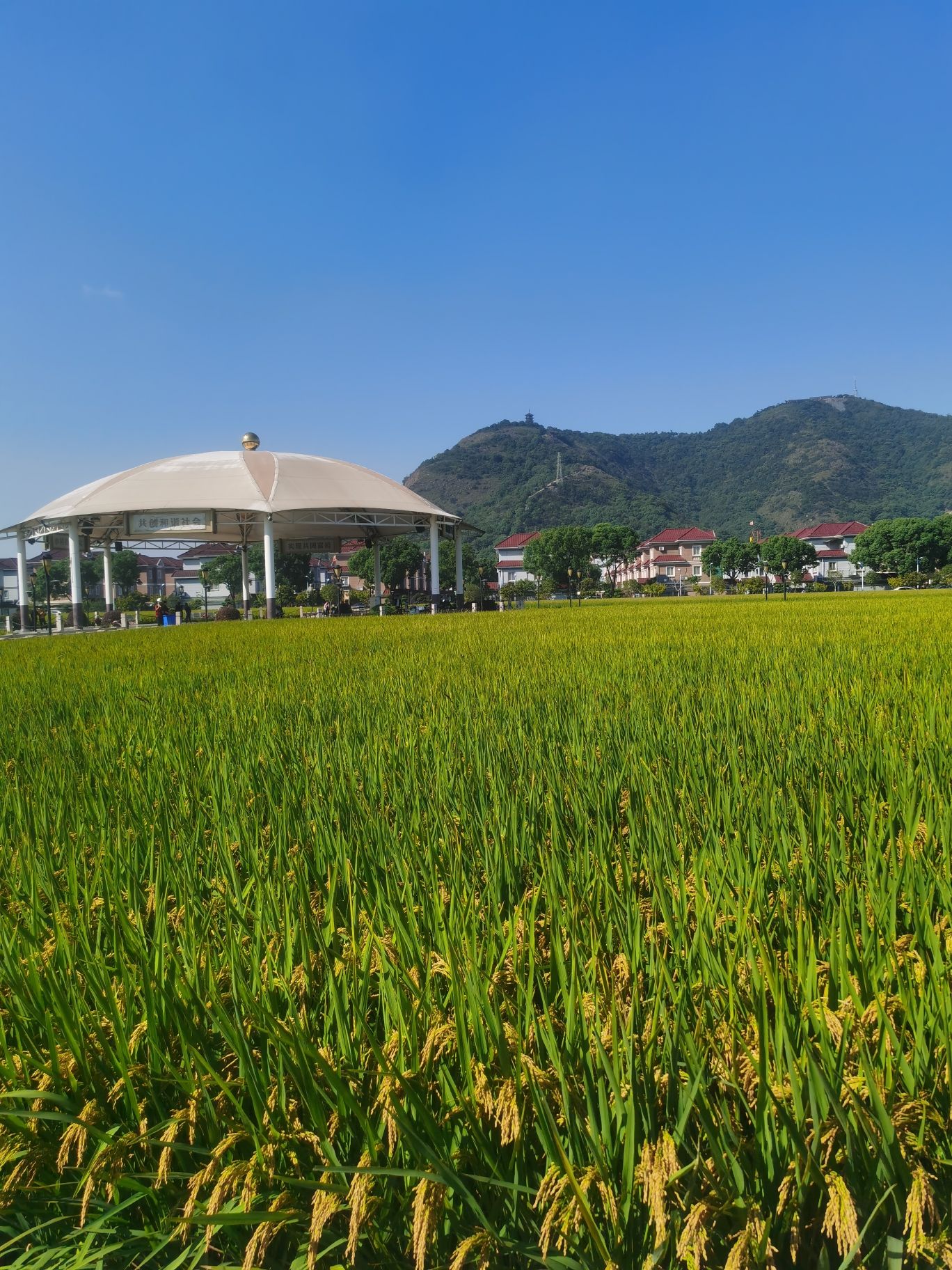 航民田园广场旅行图片 3