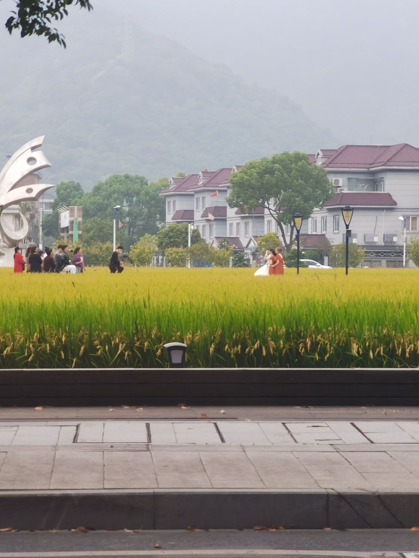 航民田园广场旅行图片 2