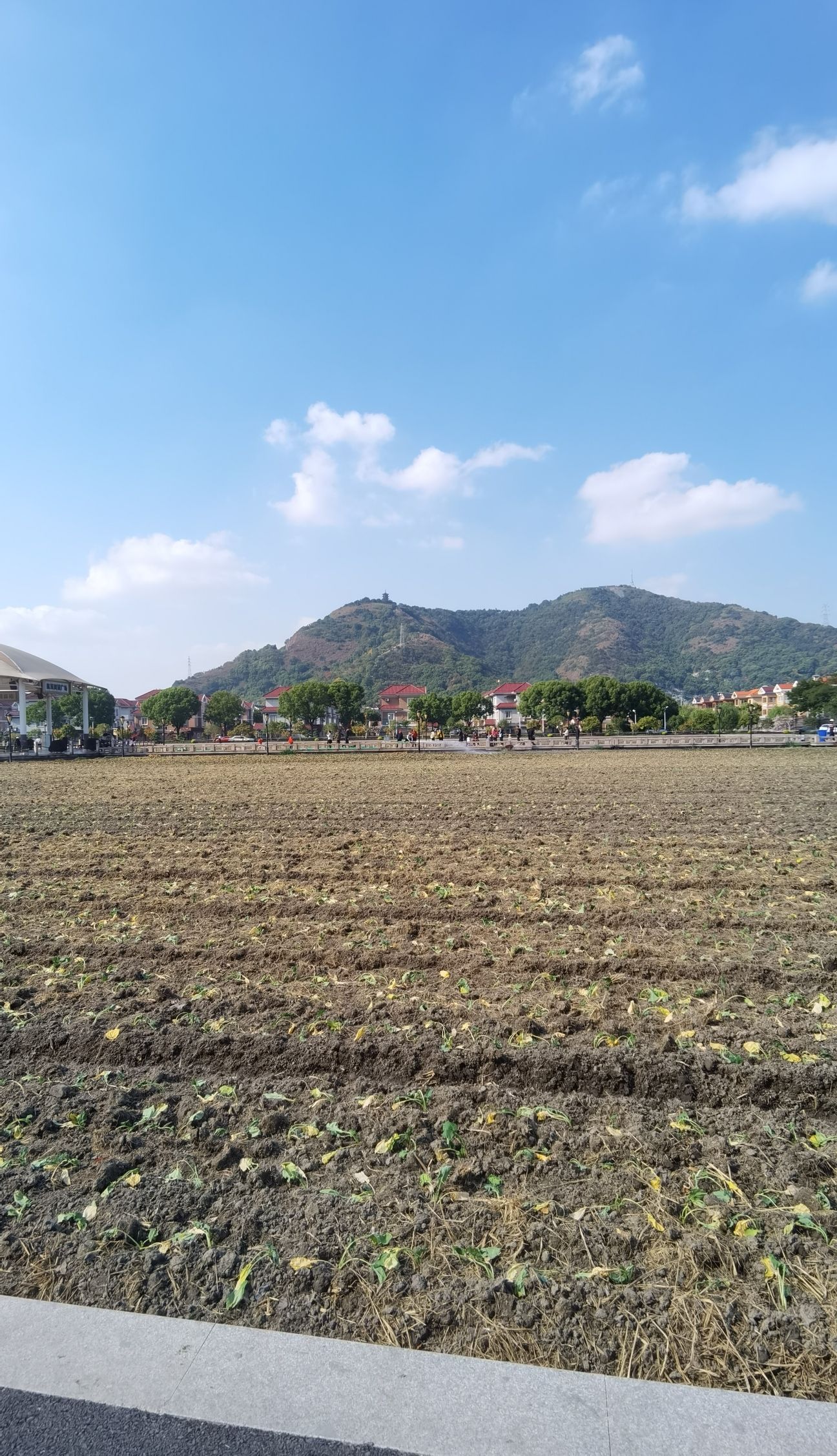 航民田园广场旅行图片 1