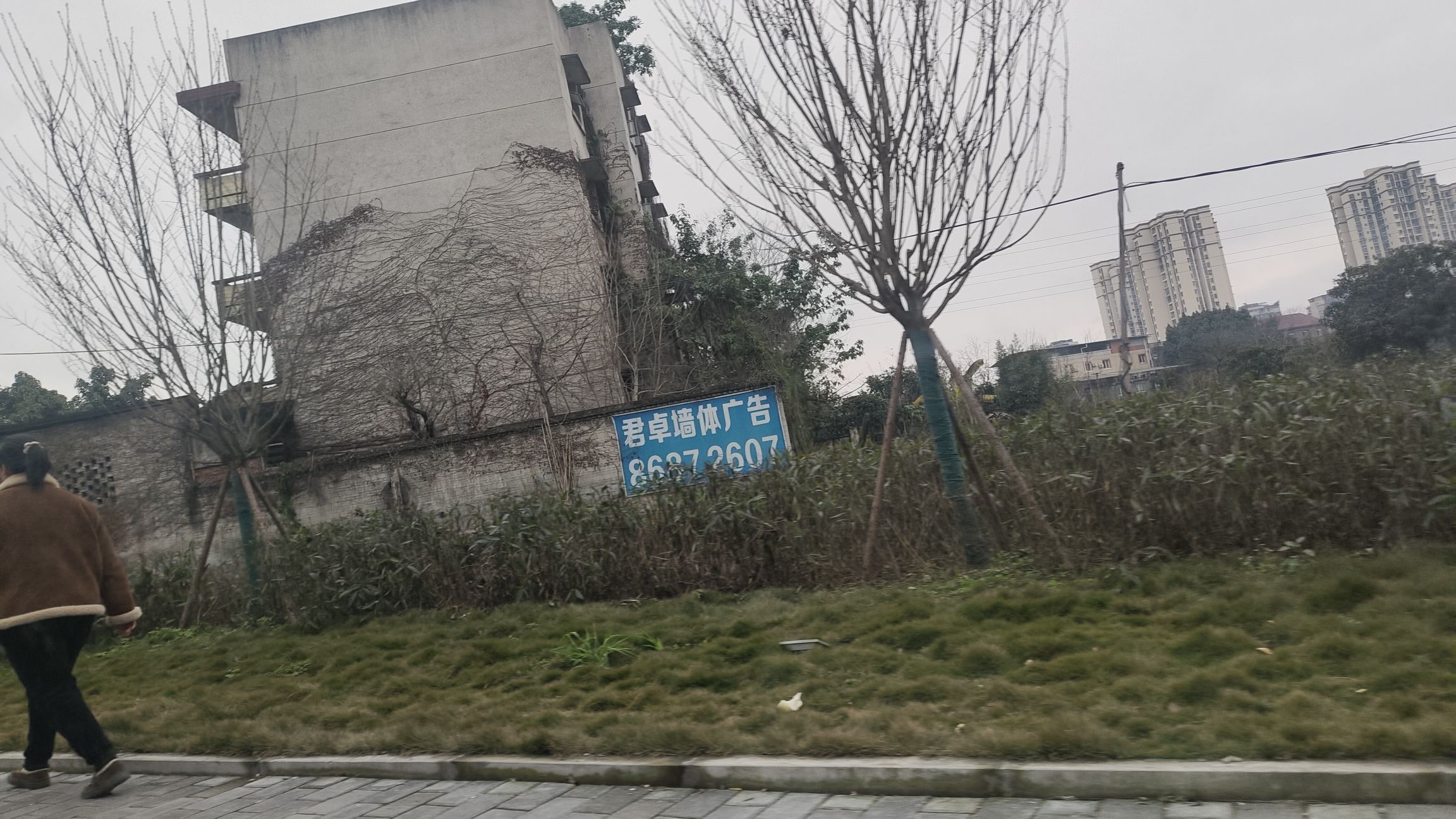 歇马广场旅行图片 1