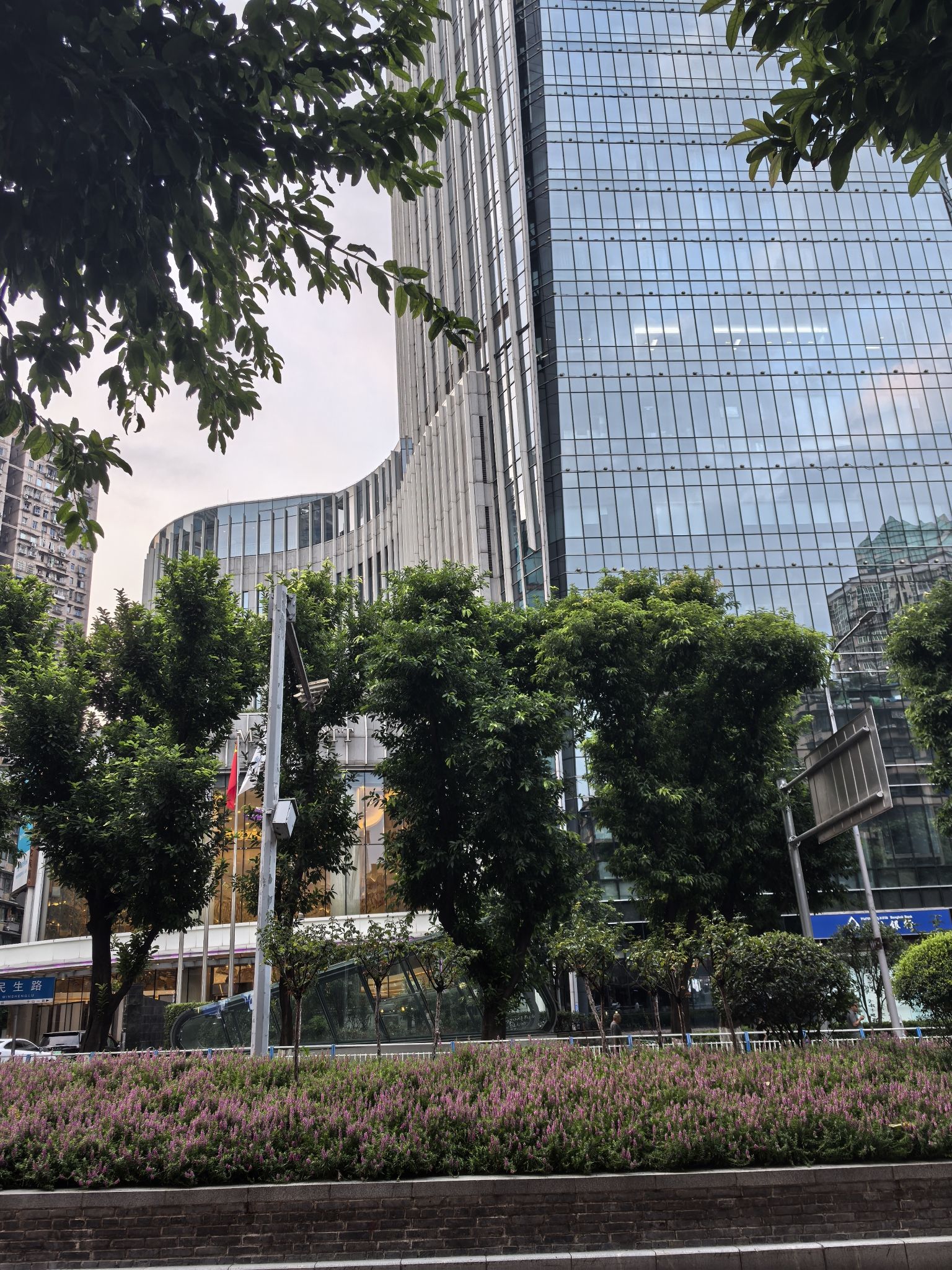 歇马广场旅行图片 1