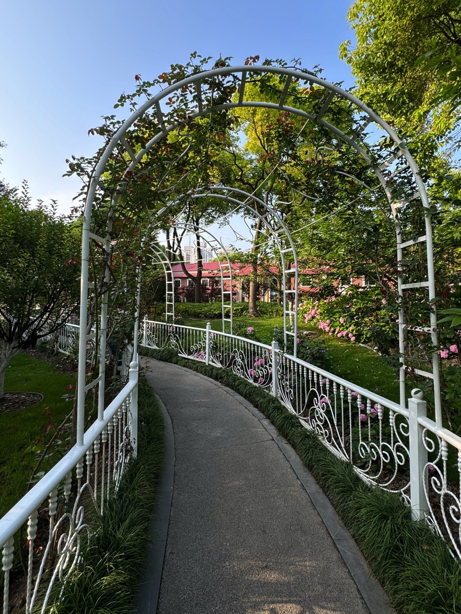 曲阳公园旅行图片 3