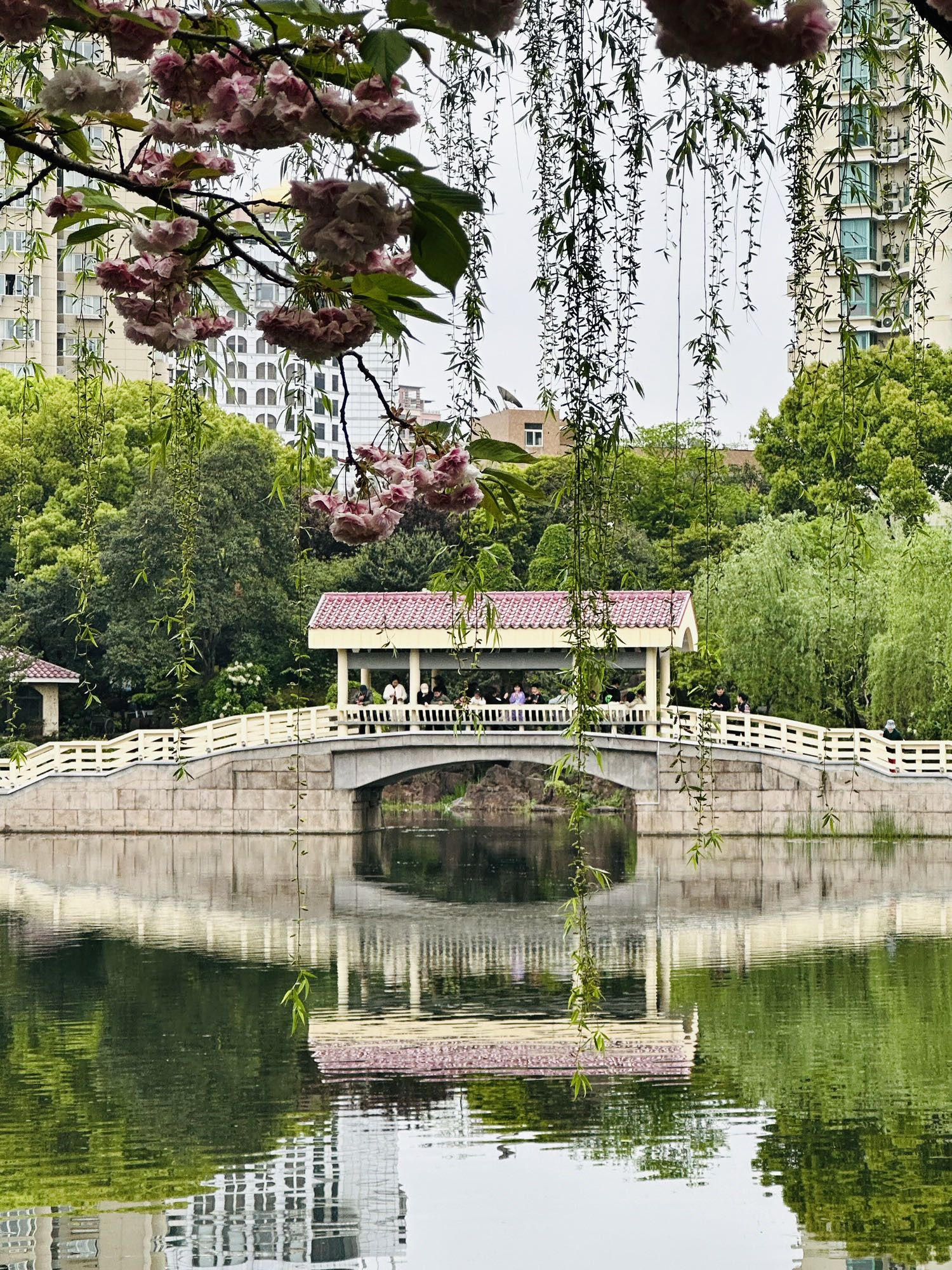 曲阳公园旅行图片 2