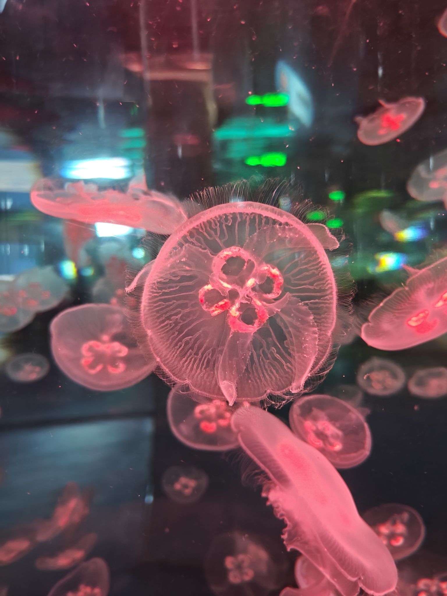 欢乐太行谷旅行图片 1