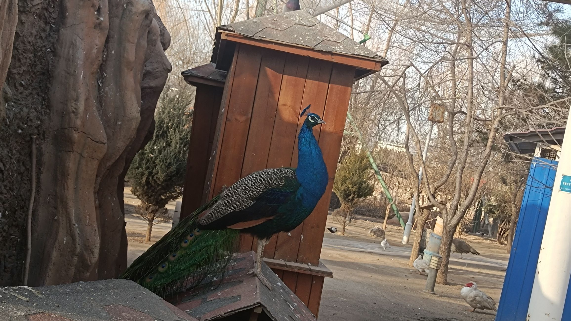 欢乐太行谷旅行图片 3