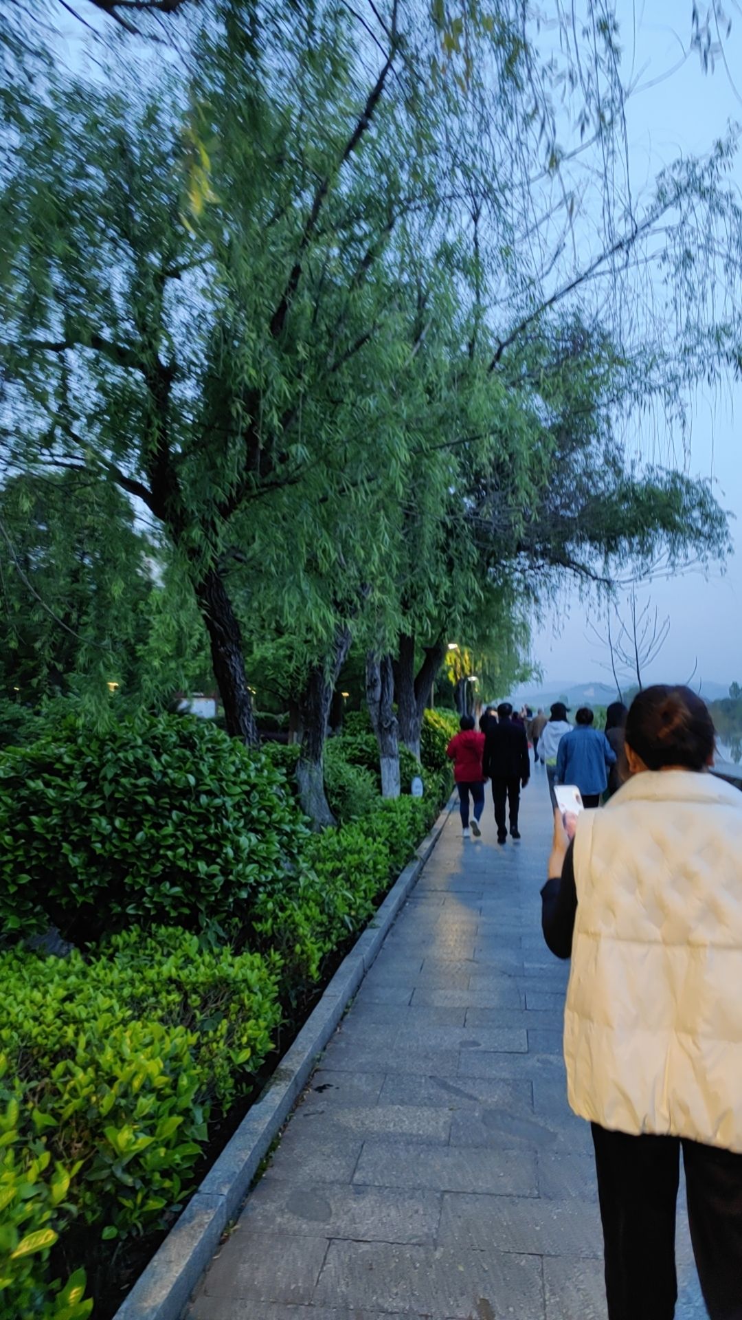滨江公园旅行图片 2