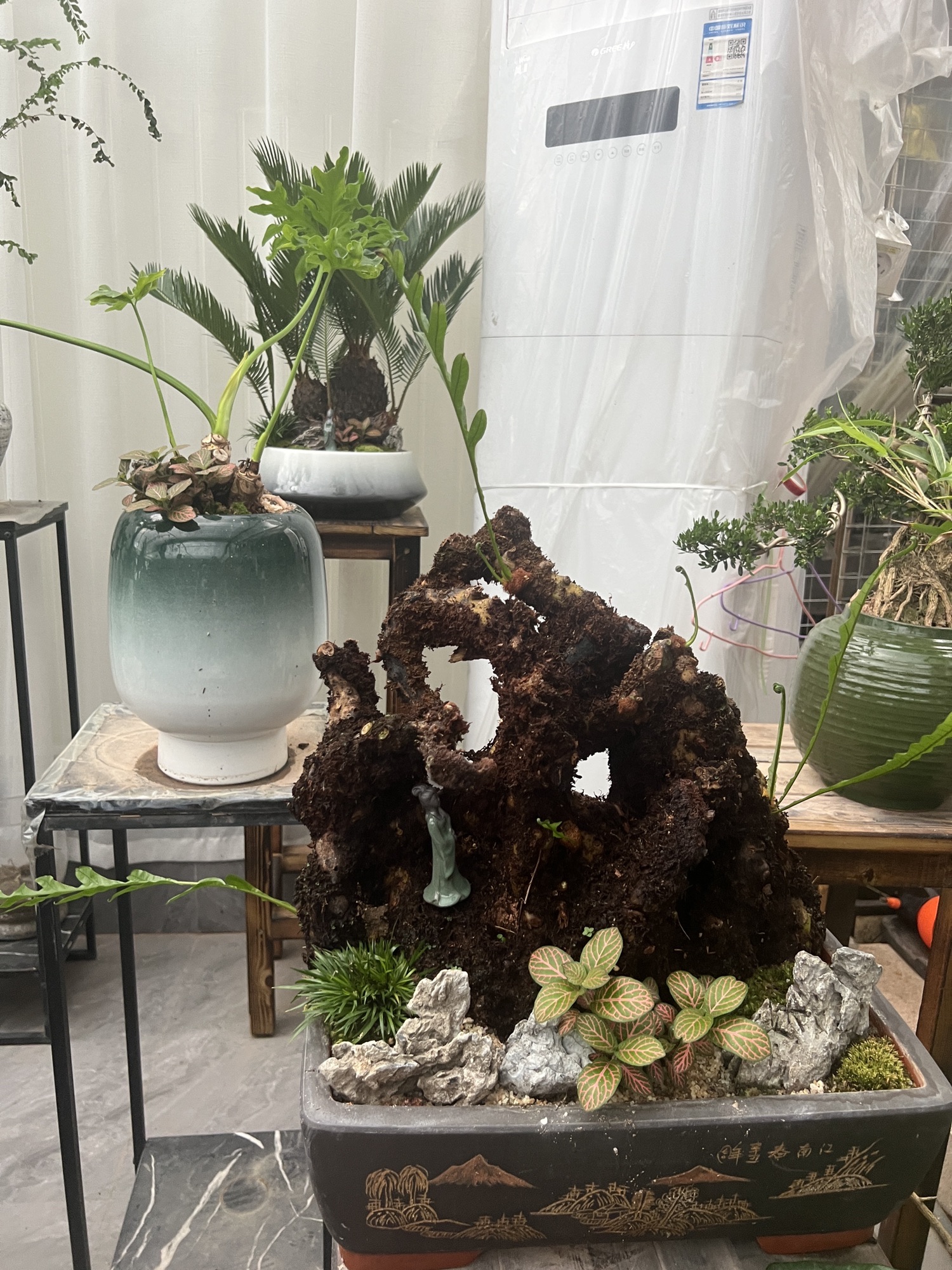 百花村旅行图片 1