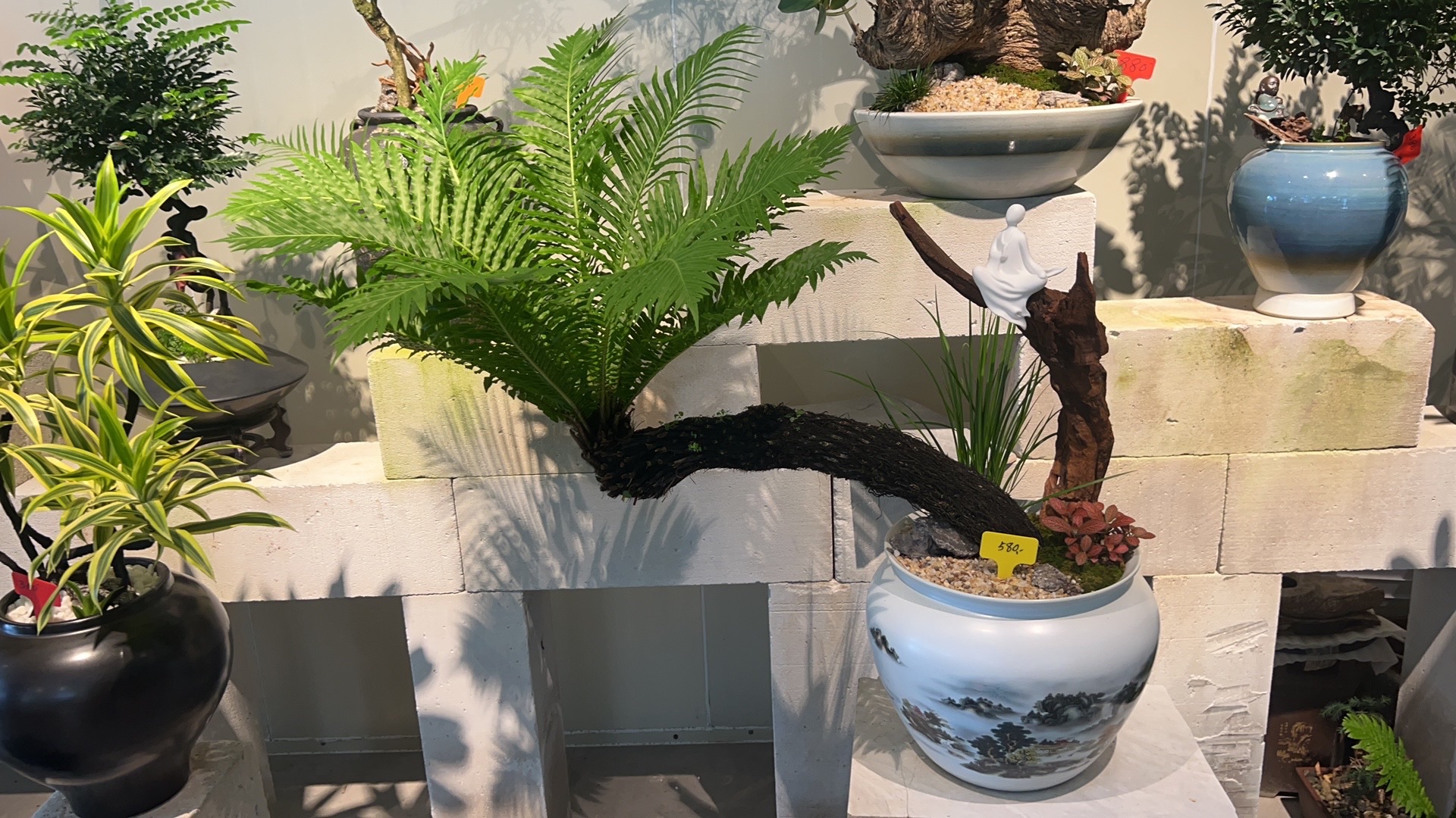 百花村旅行图片 2