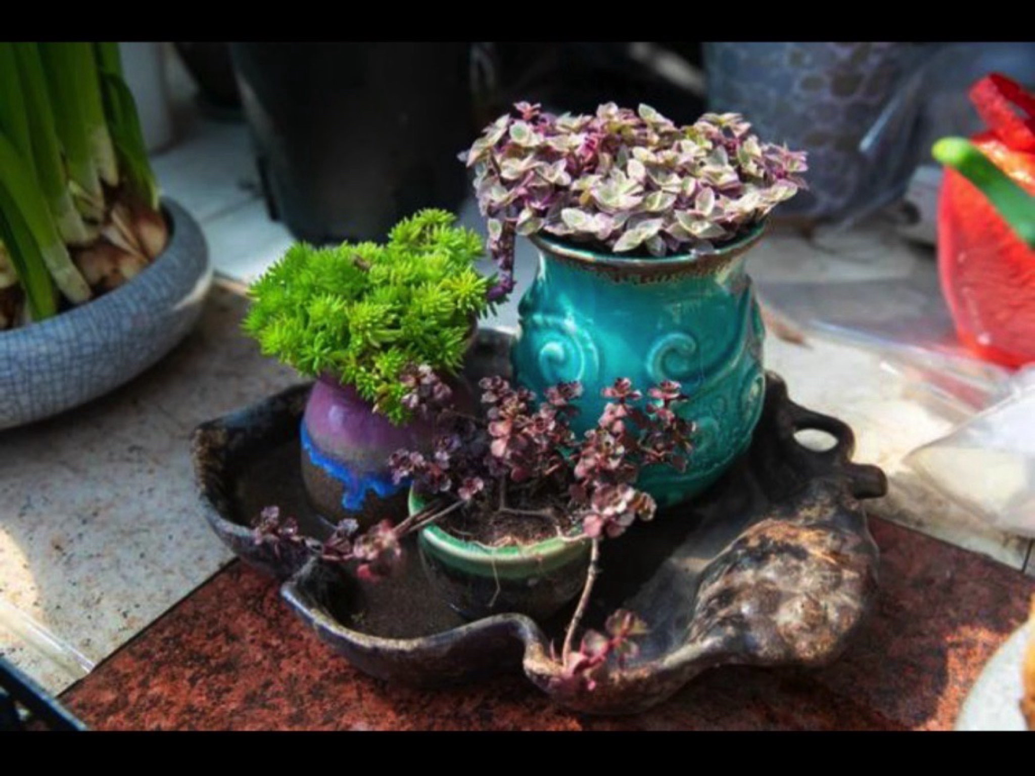 百花村旅行图片 3