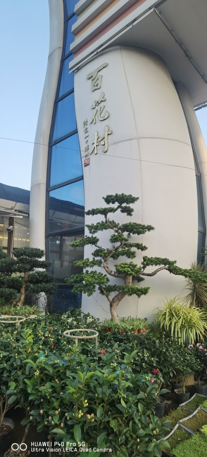 百花村旅行图片 2